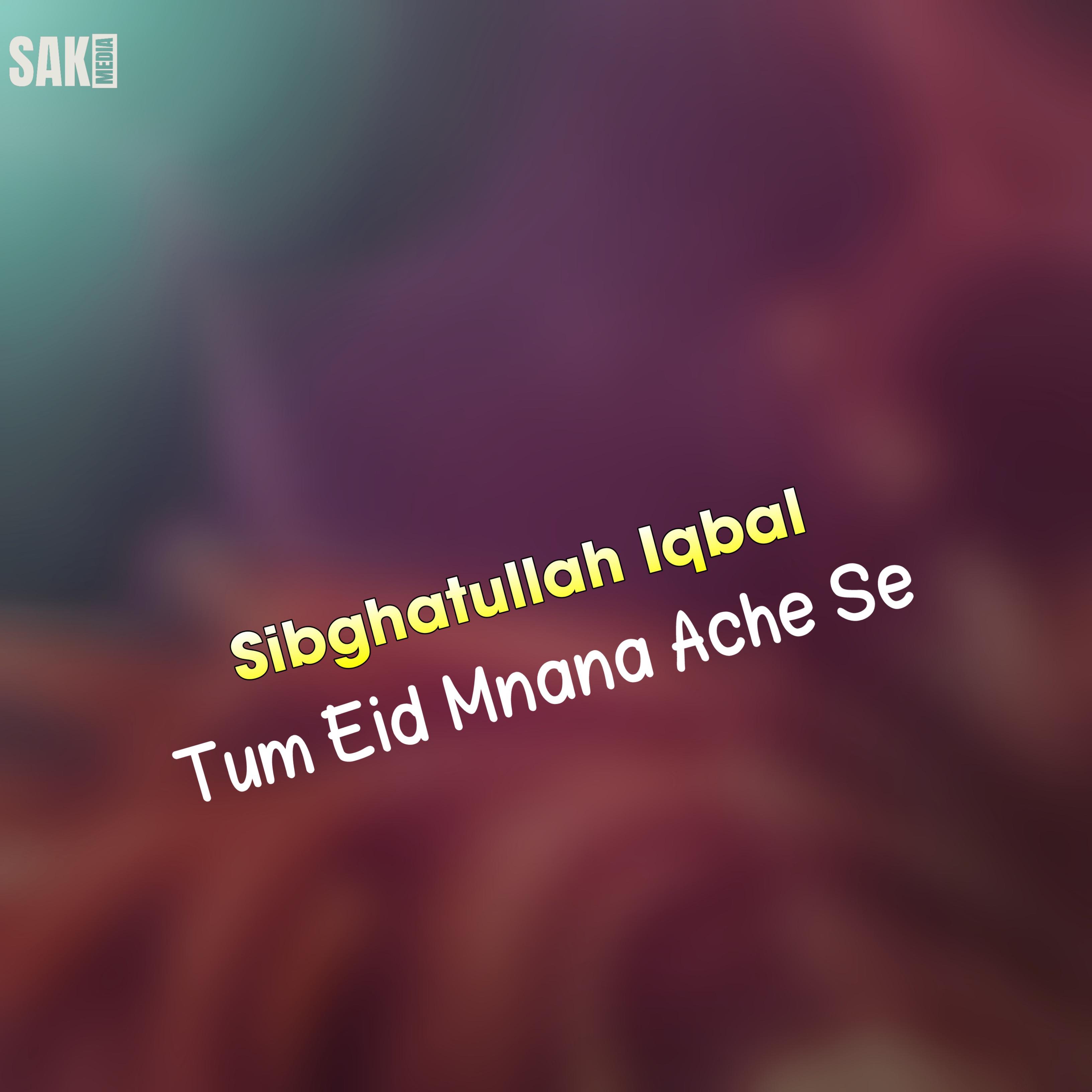 Постер альбома Tum Eid Mnana Ache Se