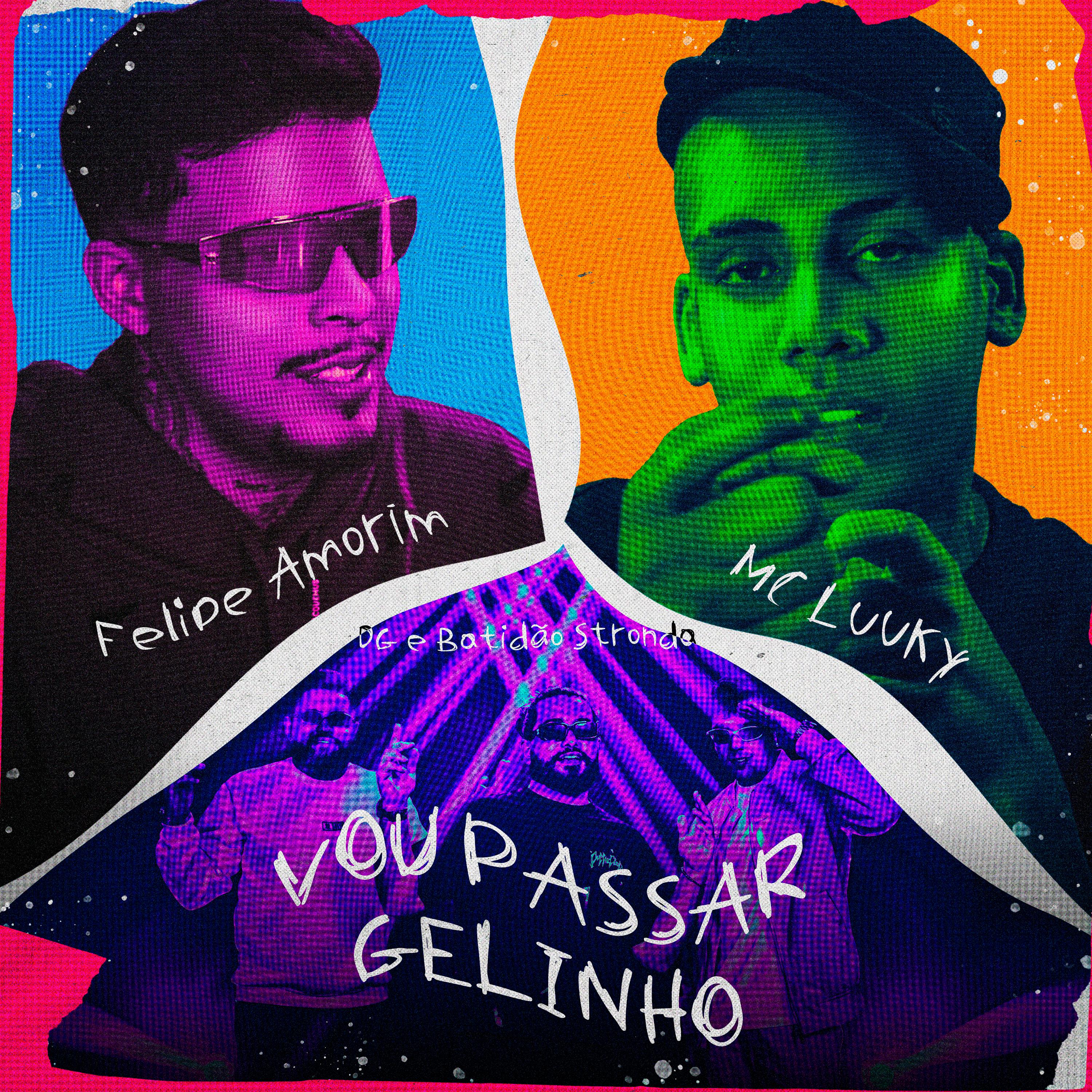 Постер альбома Vou Passar Gelinho