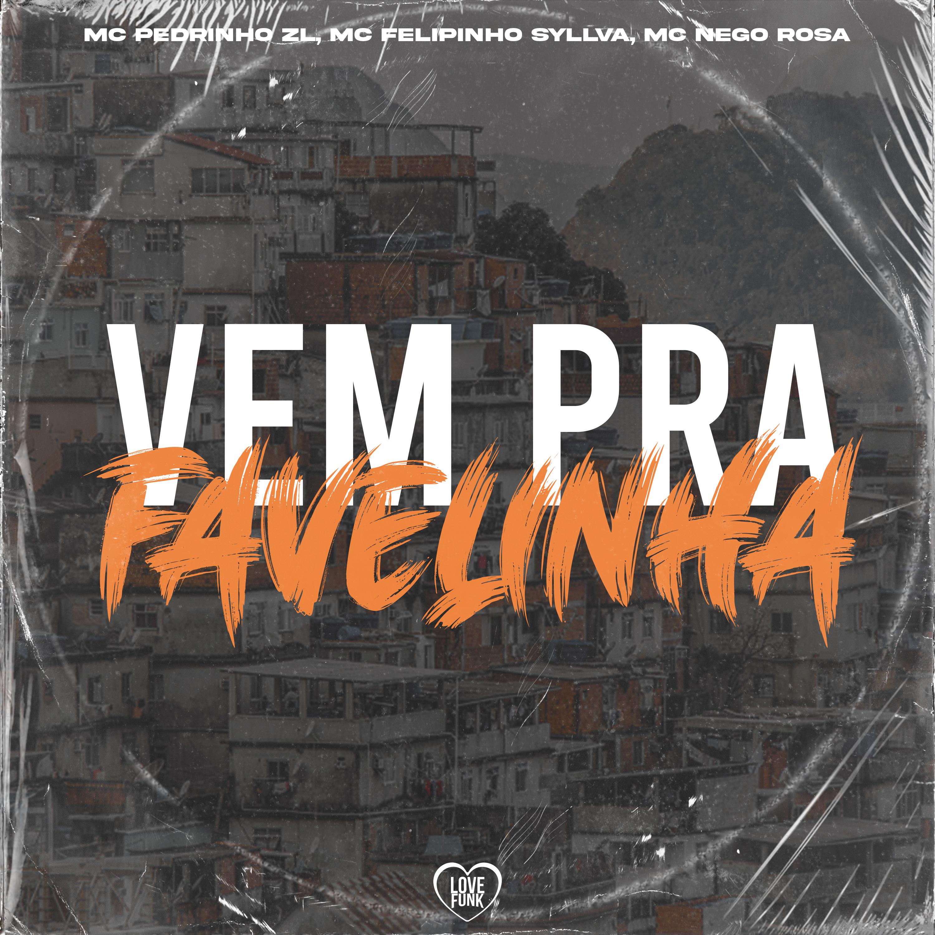Постер альбома Vem pra Favelinha