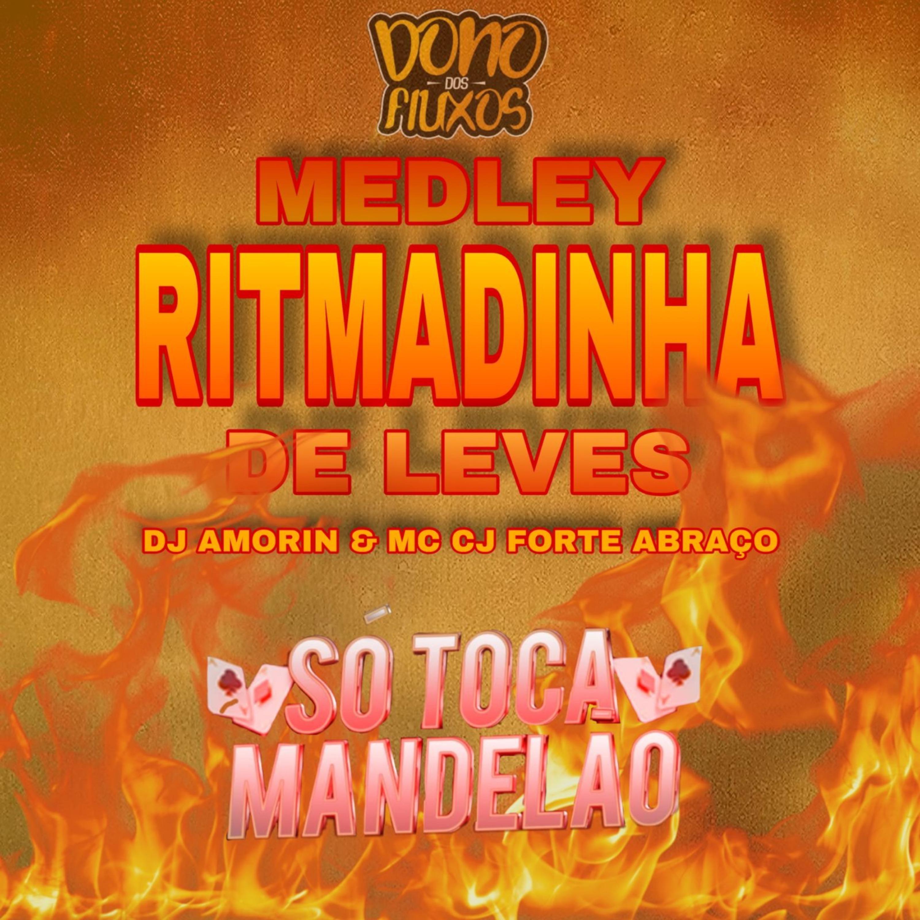 Постер альбома Medley Ritmadinha de Leves