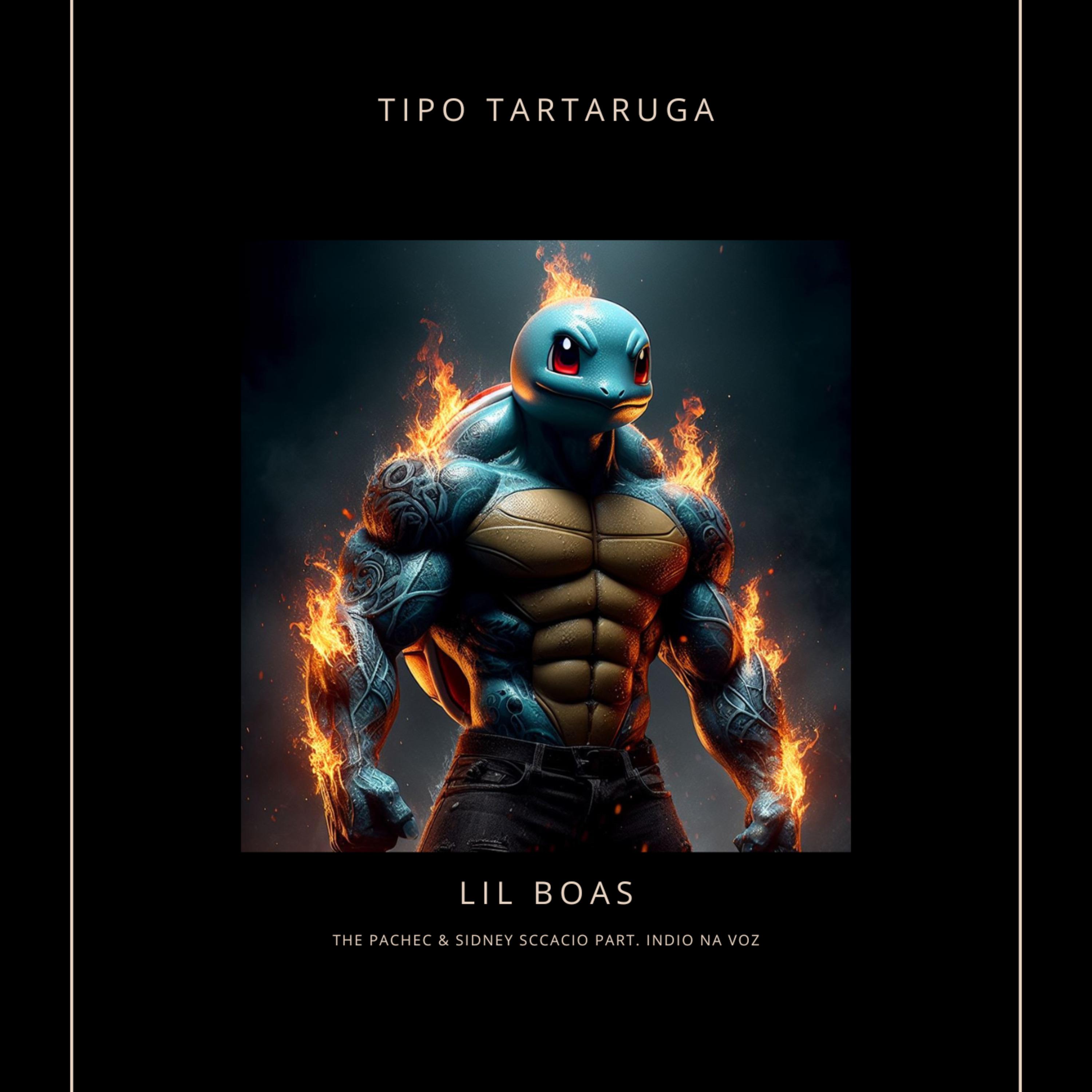 Постер альбома Tipo Tartaruga