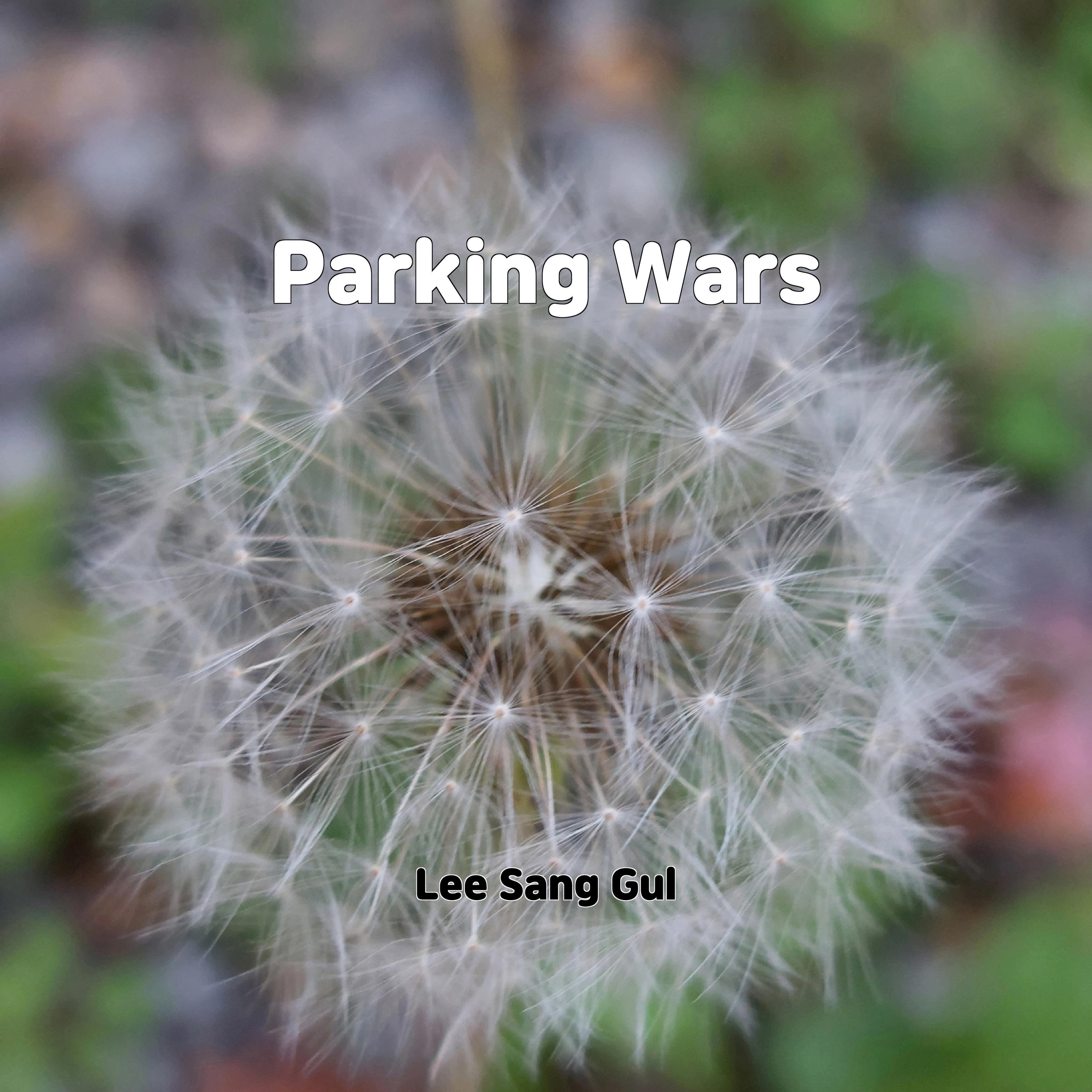 Постер альбома Parking Wars