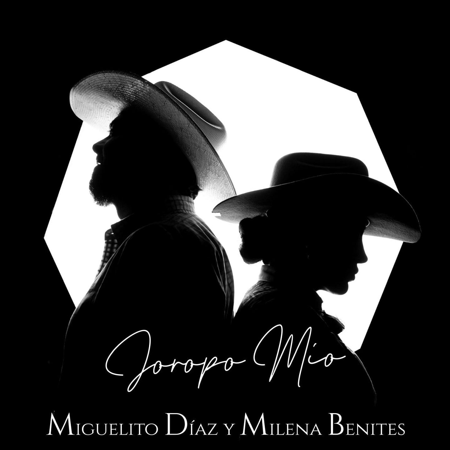 Постер альбома Joropo Mío