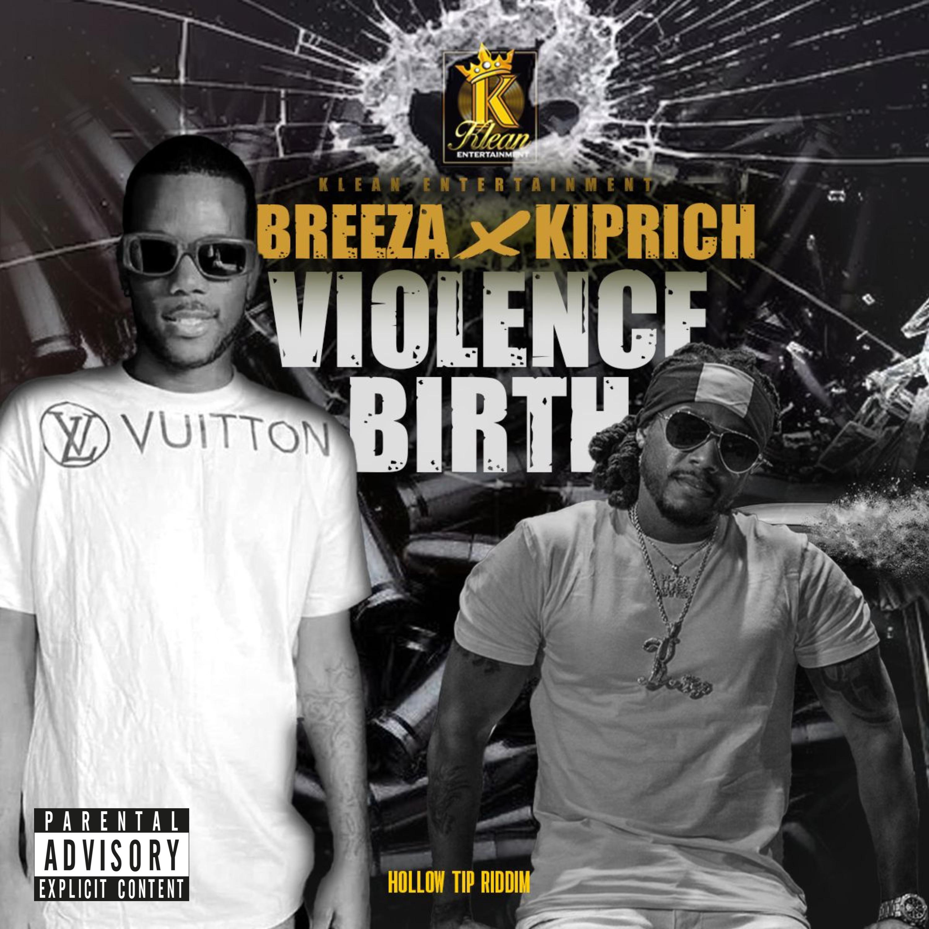 Постер альбома Violence Birth