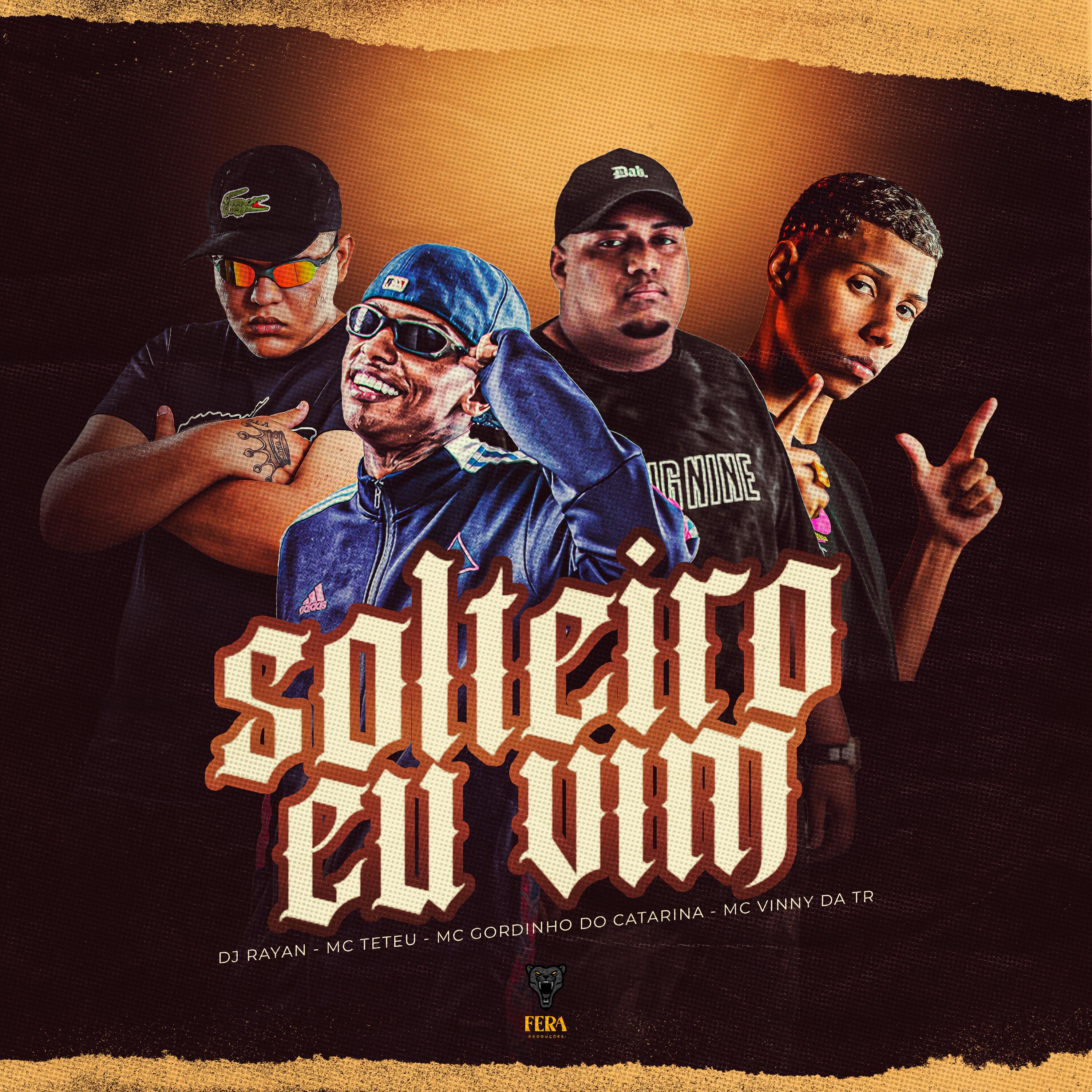 Постер альбома Solteiro Eu Vim