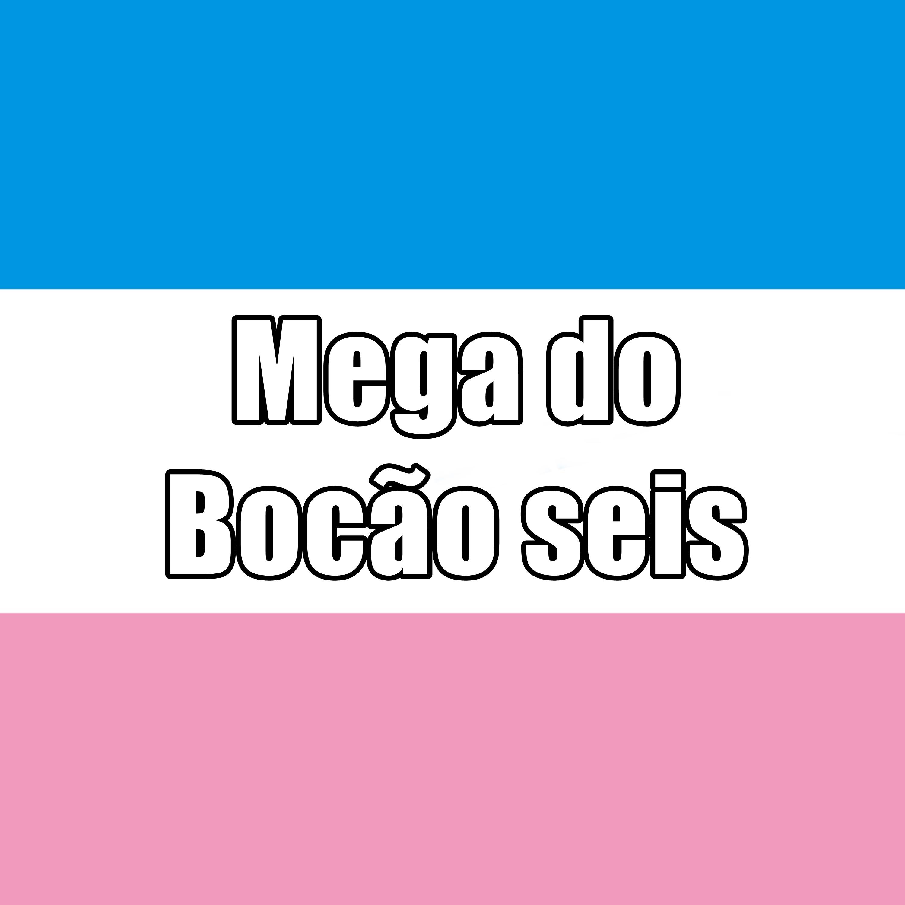 Постер альбома Mega do Bocão Seis