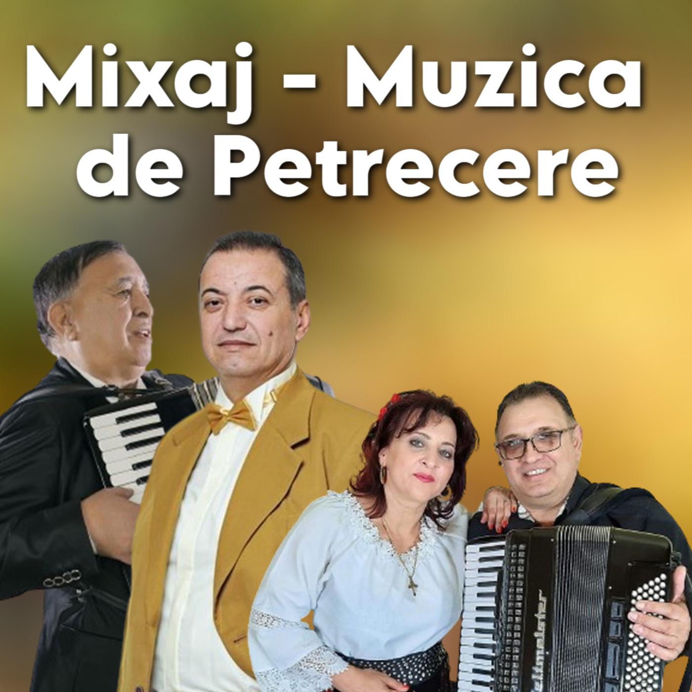 Постер альбома Mixaj - Muzica de Petrecere