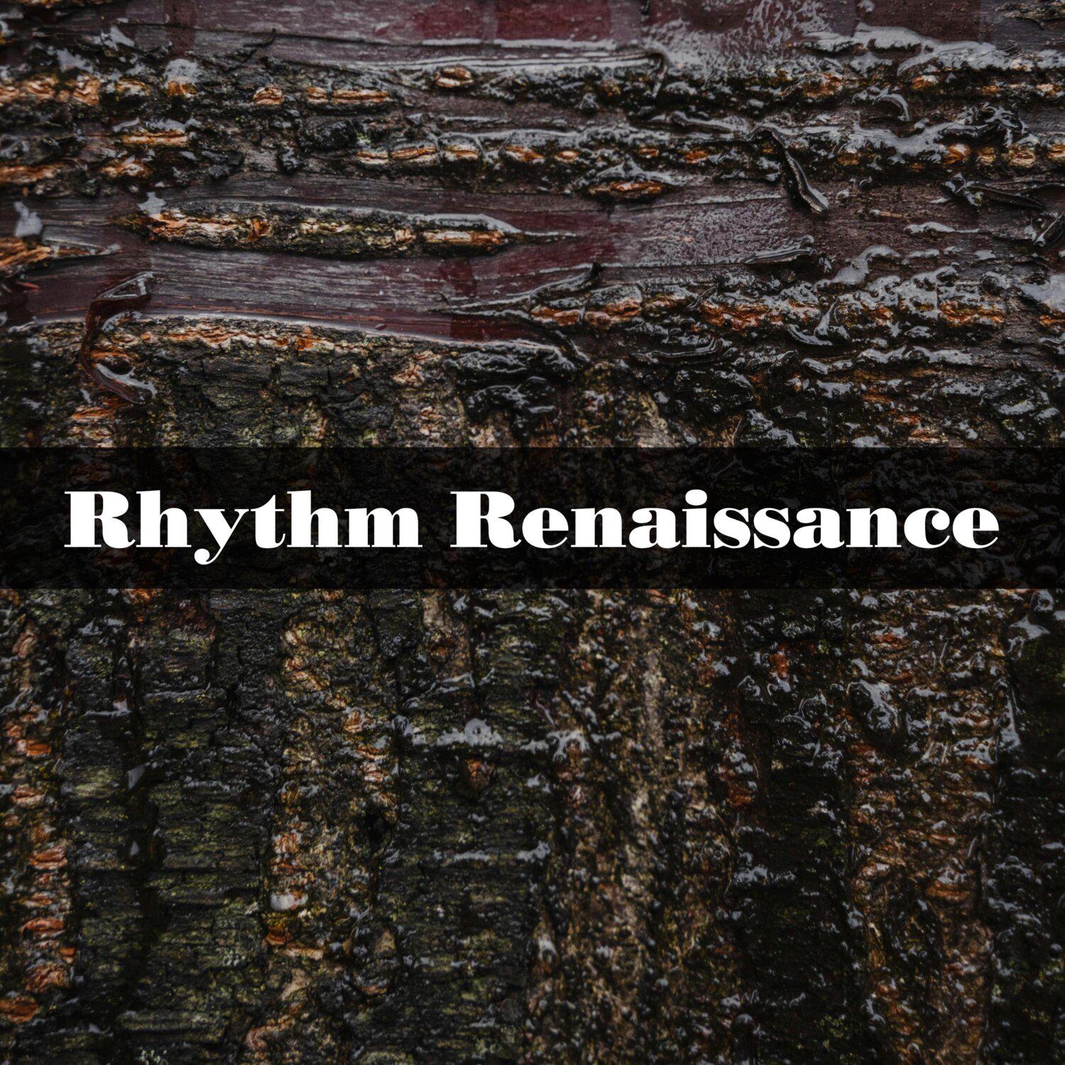 Постер альбома Rhythm Renaissance