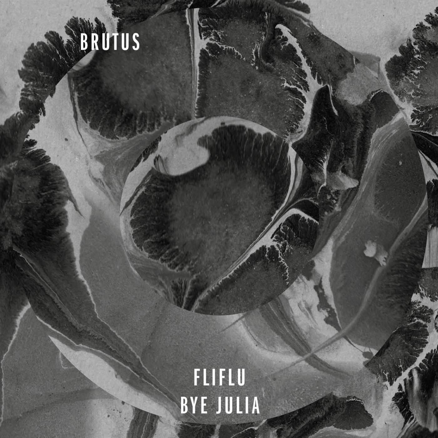 Постер альбома Fliflu / Bye Julia