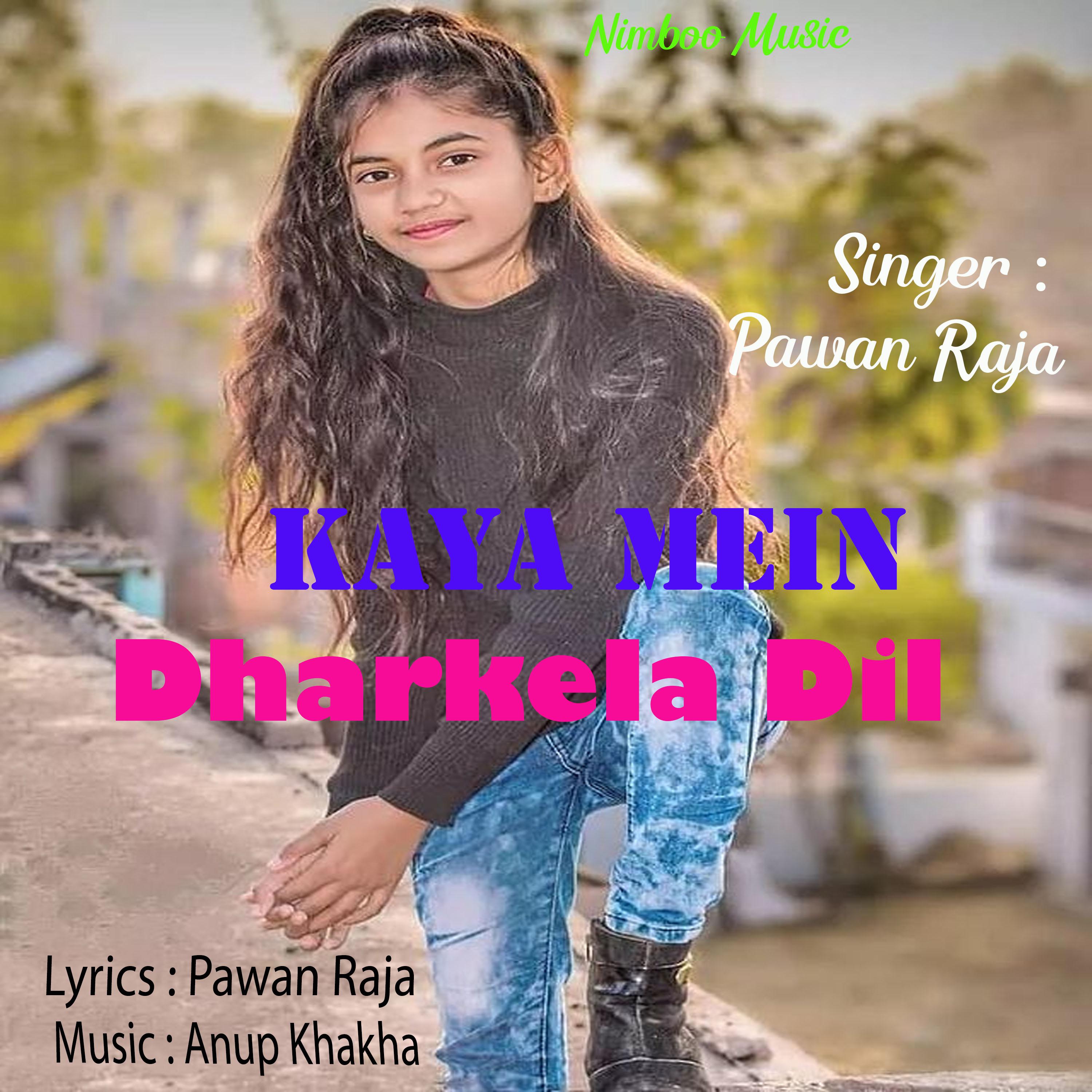 Постер альбома Kaya Mein Dharkela Dil