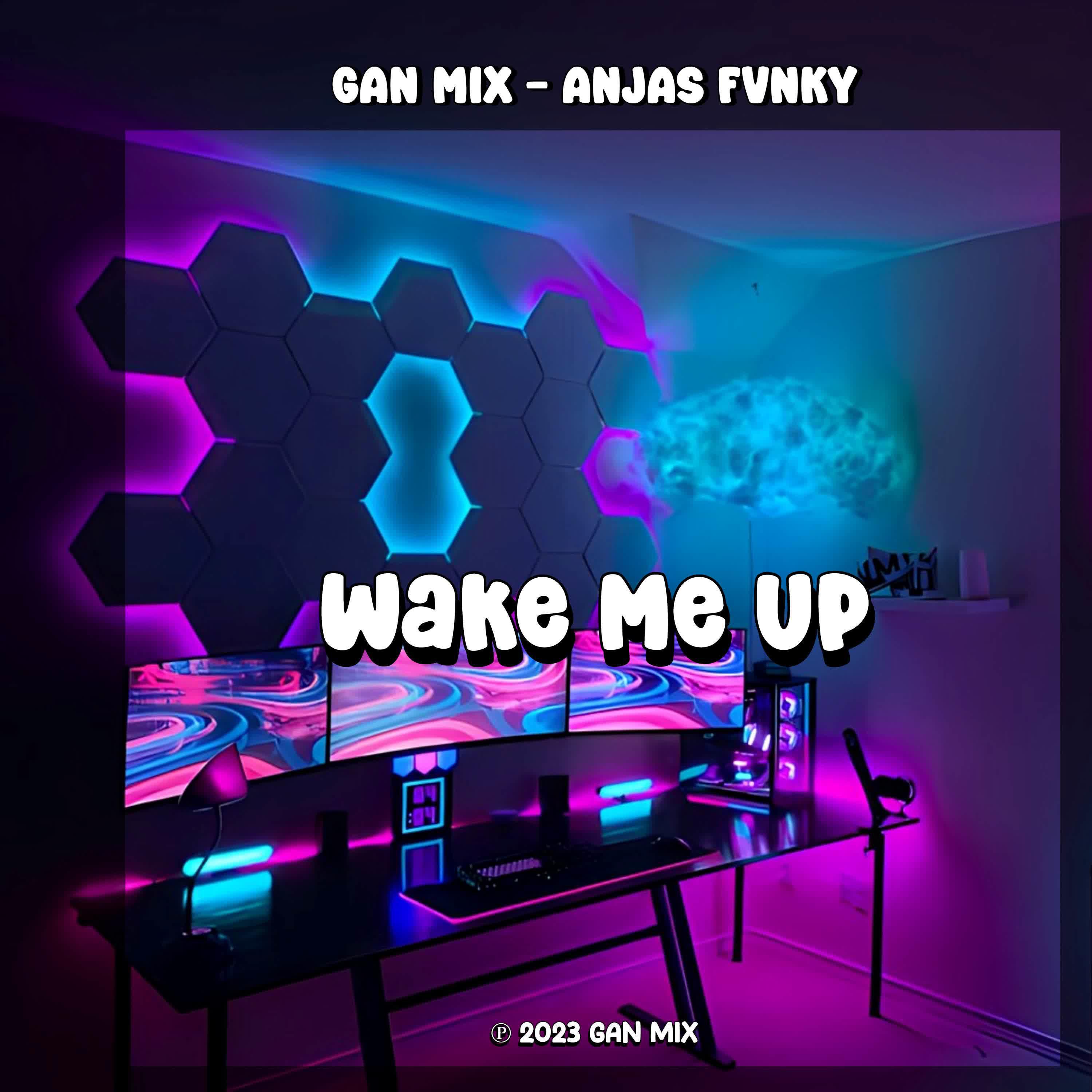 Постер альбома DJ Wake Me Up -inst
