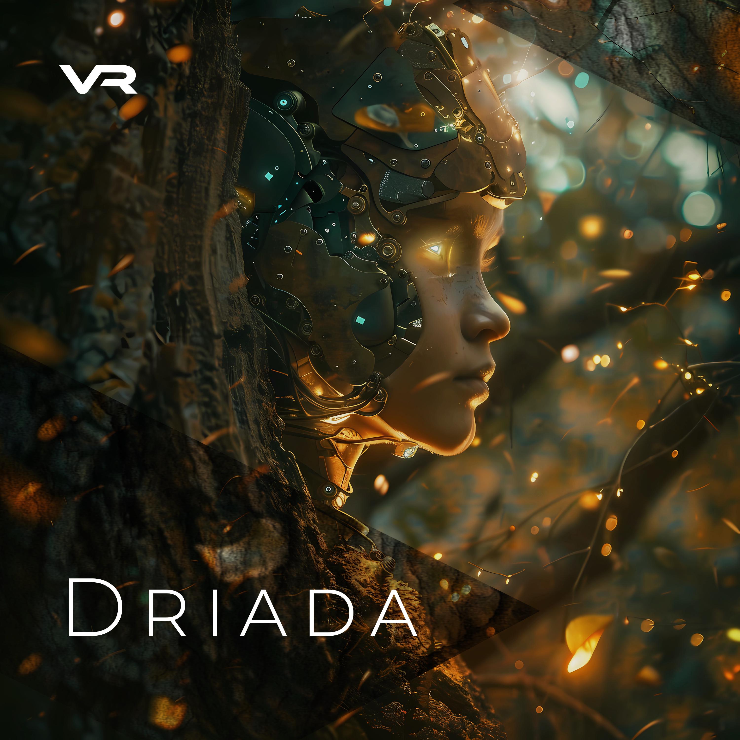 Постер альбома Driada