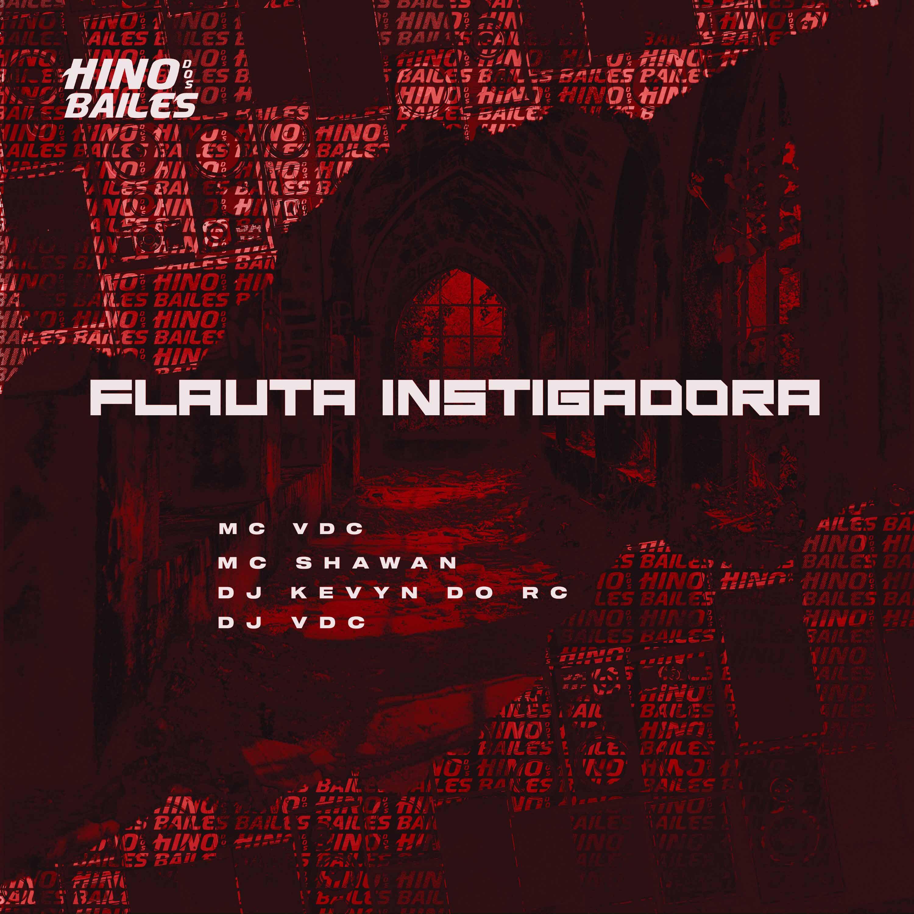 Постер альбома Flauta Instigadora