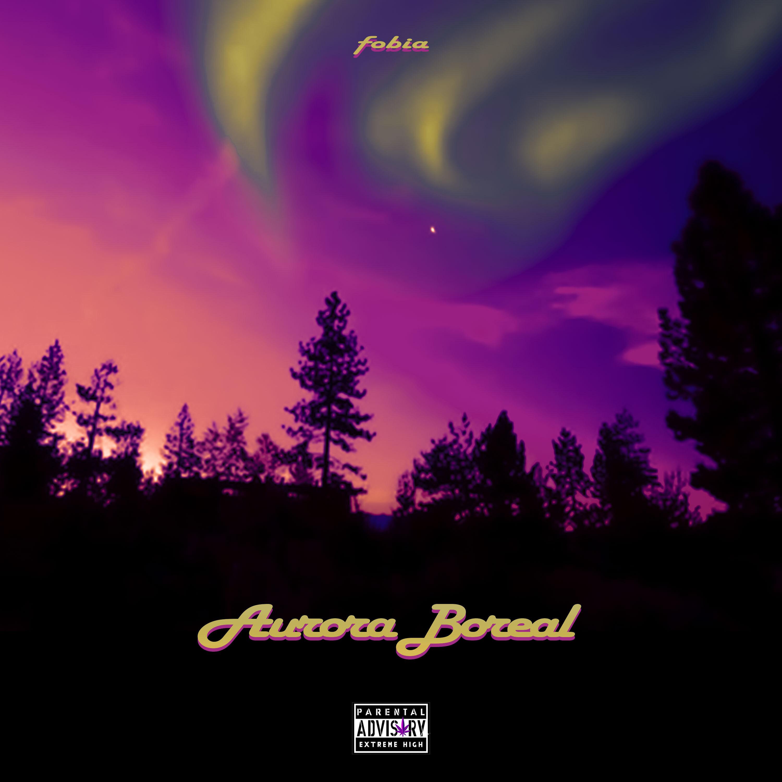 Постер альбома Aurora Boreal
