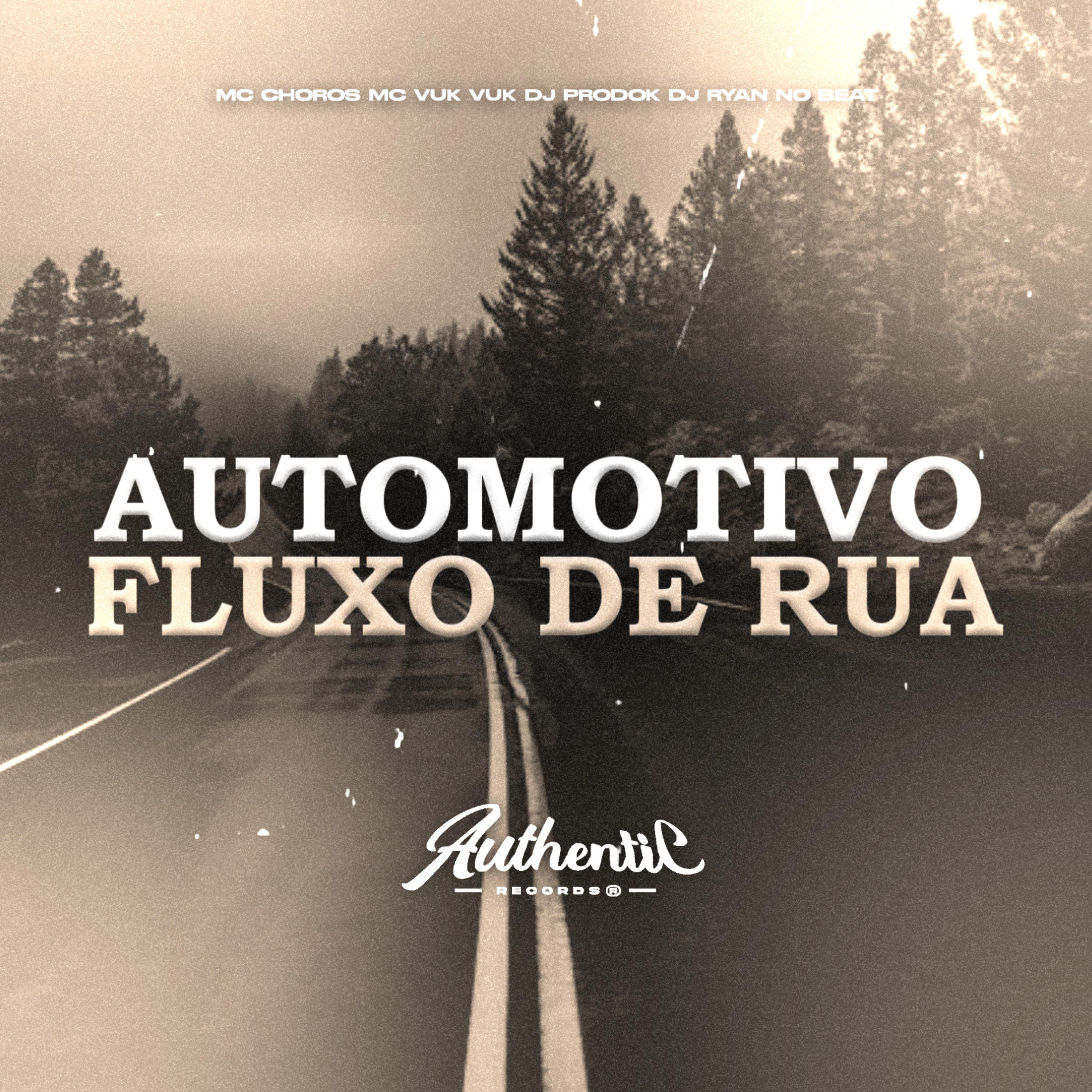 Постер альбома Automotivo Fluxo de Rua