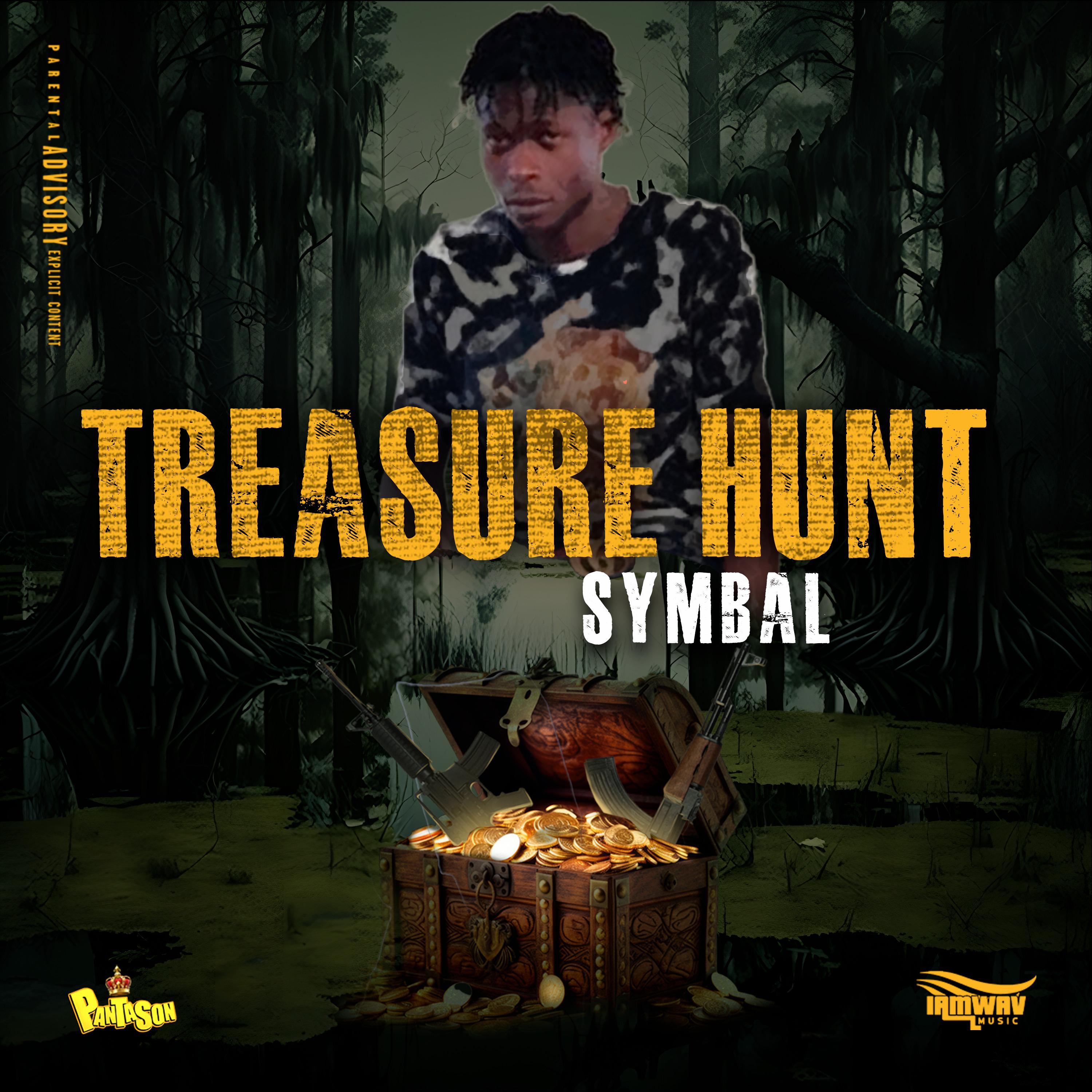 Постер альбома Treasure Hunt