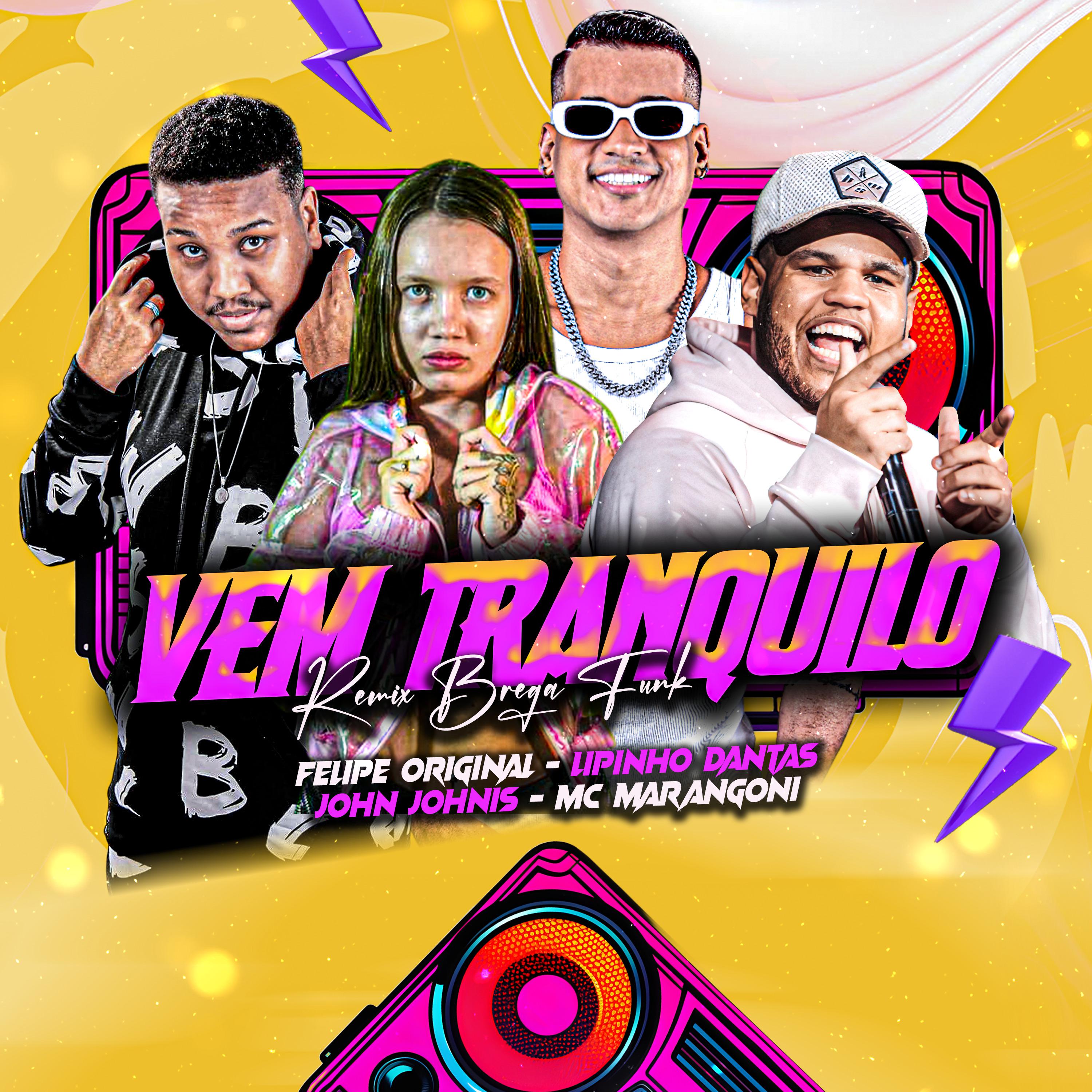 Постер альбома Vem Tranquilo (Remix Brega Funk)