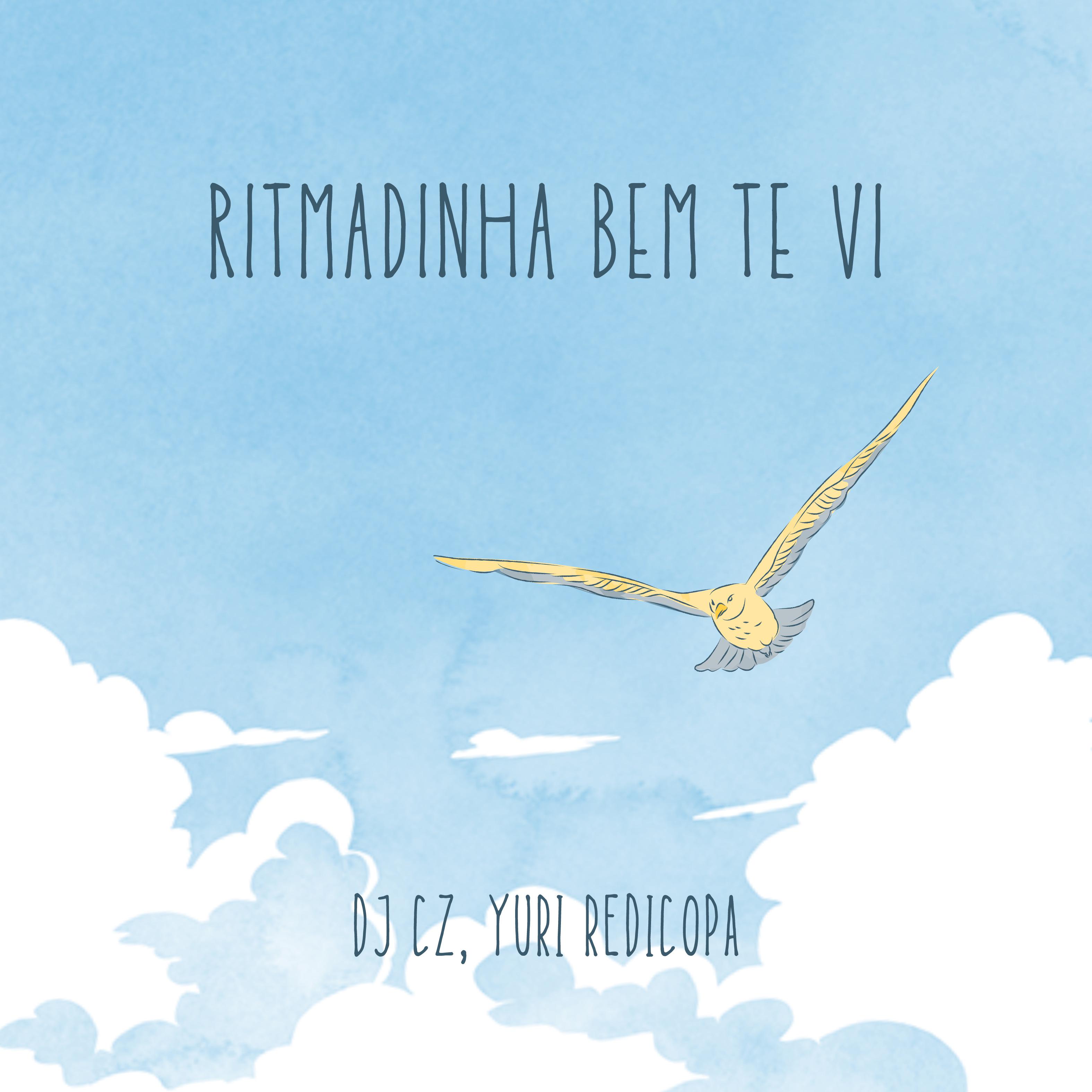 Постер альбома Ritmadinha Bem Te Vi