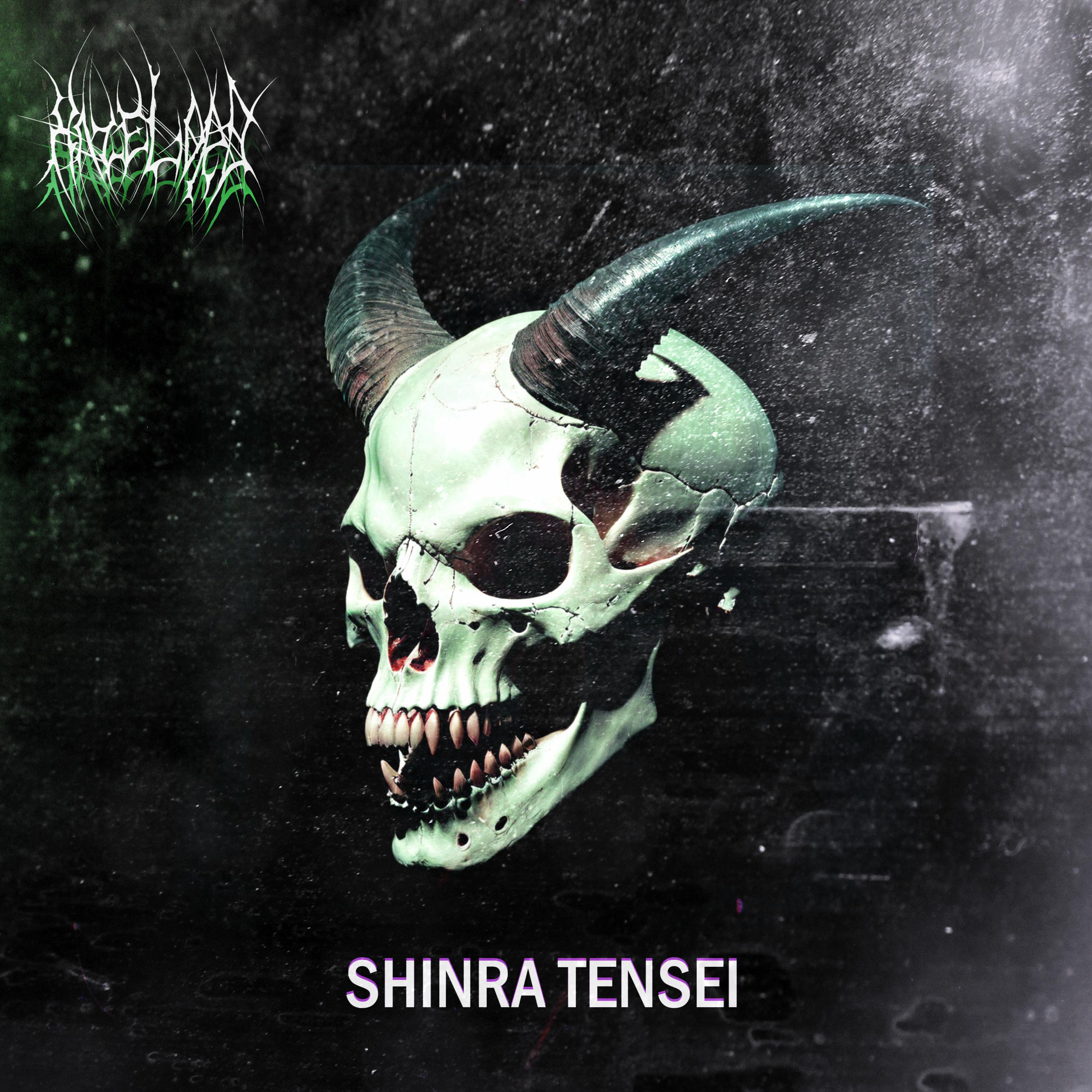 Постер альбома Shinra Tensei