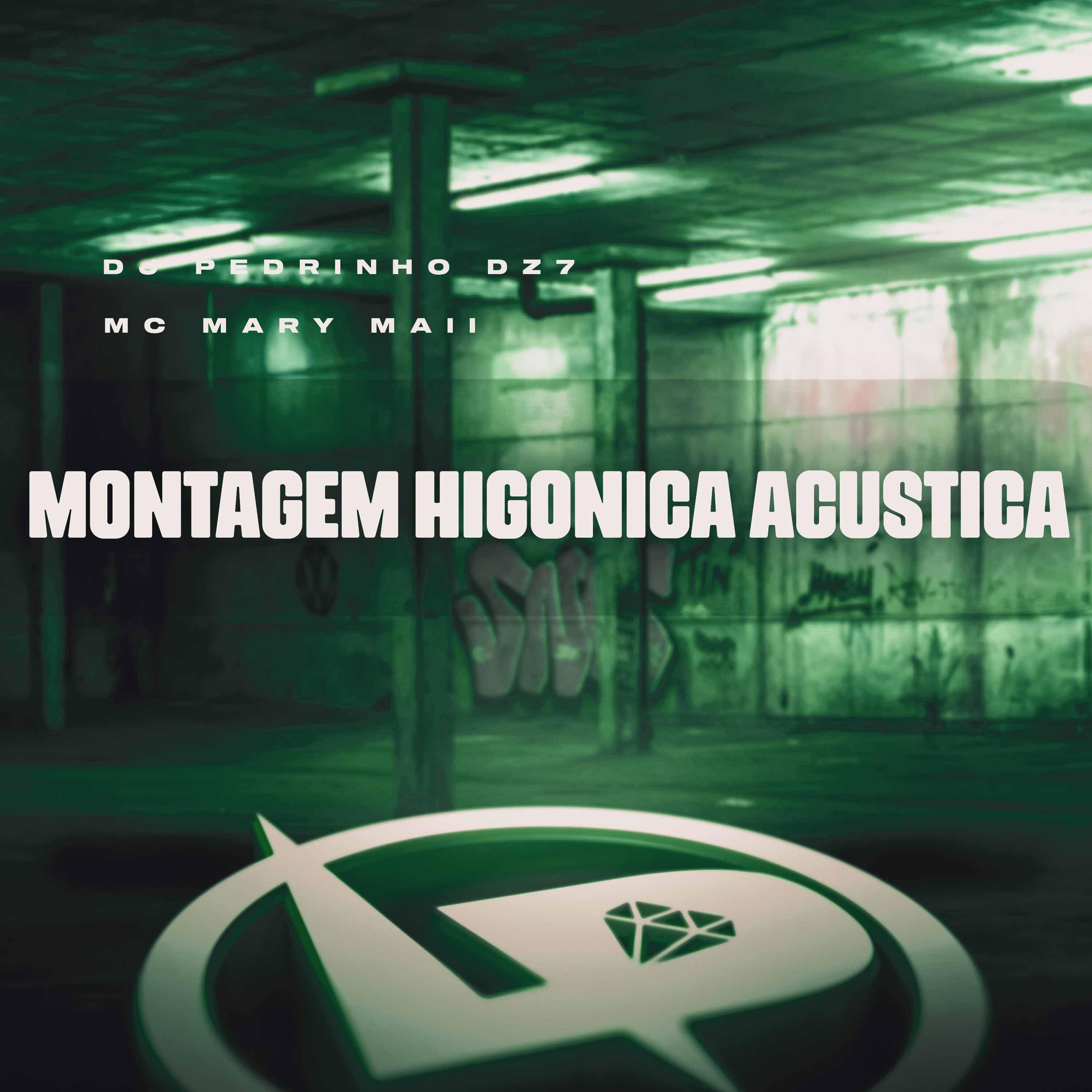 Постер альбома Montagem Higonica Acustica