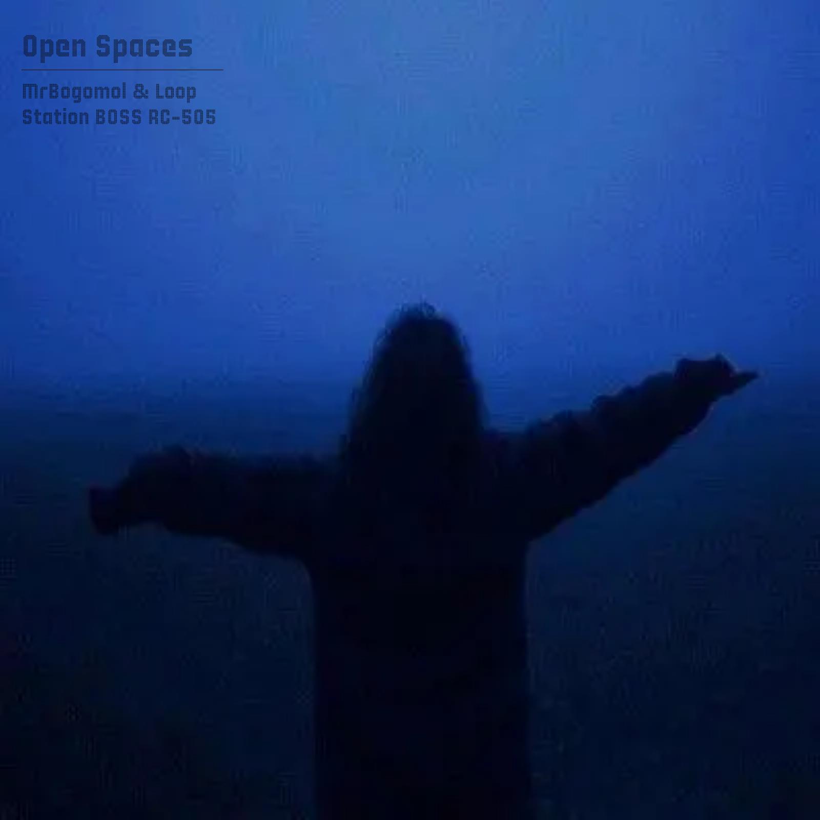 Постер альбома Open Spaces