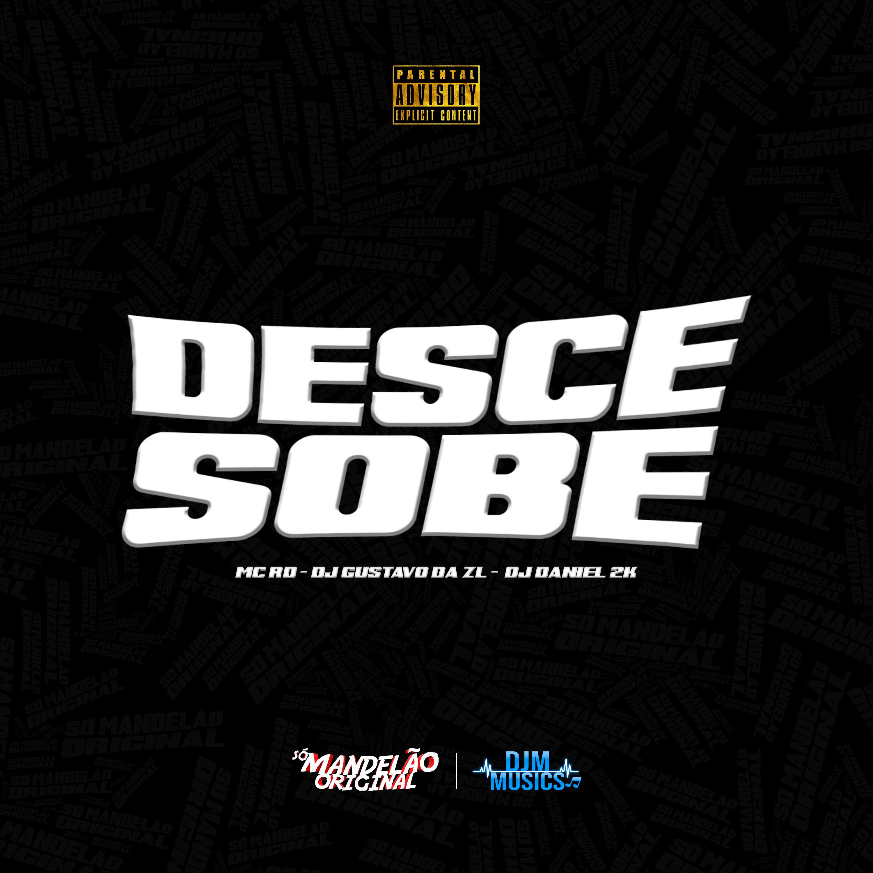 Постер альбома Desce e Sobe