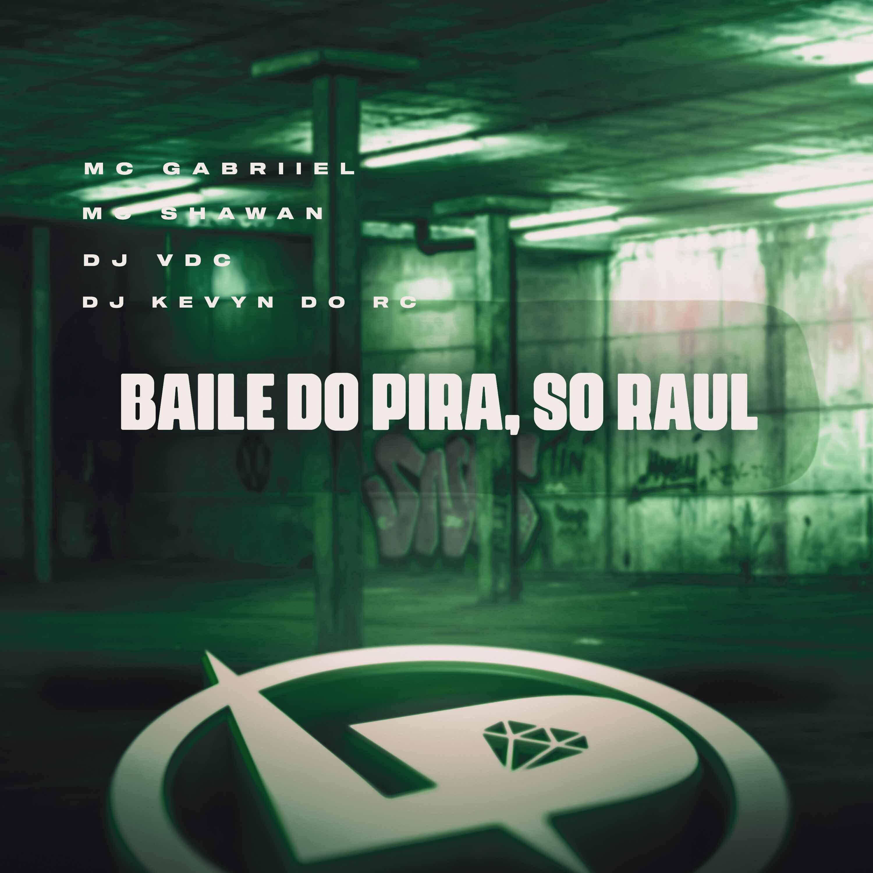 Постер альбома Baile do Pira, Só Raul