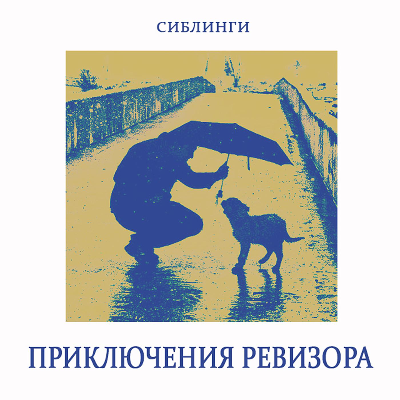 Постер альбома Приключения Ревизора