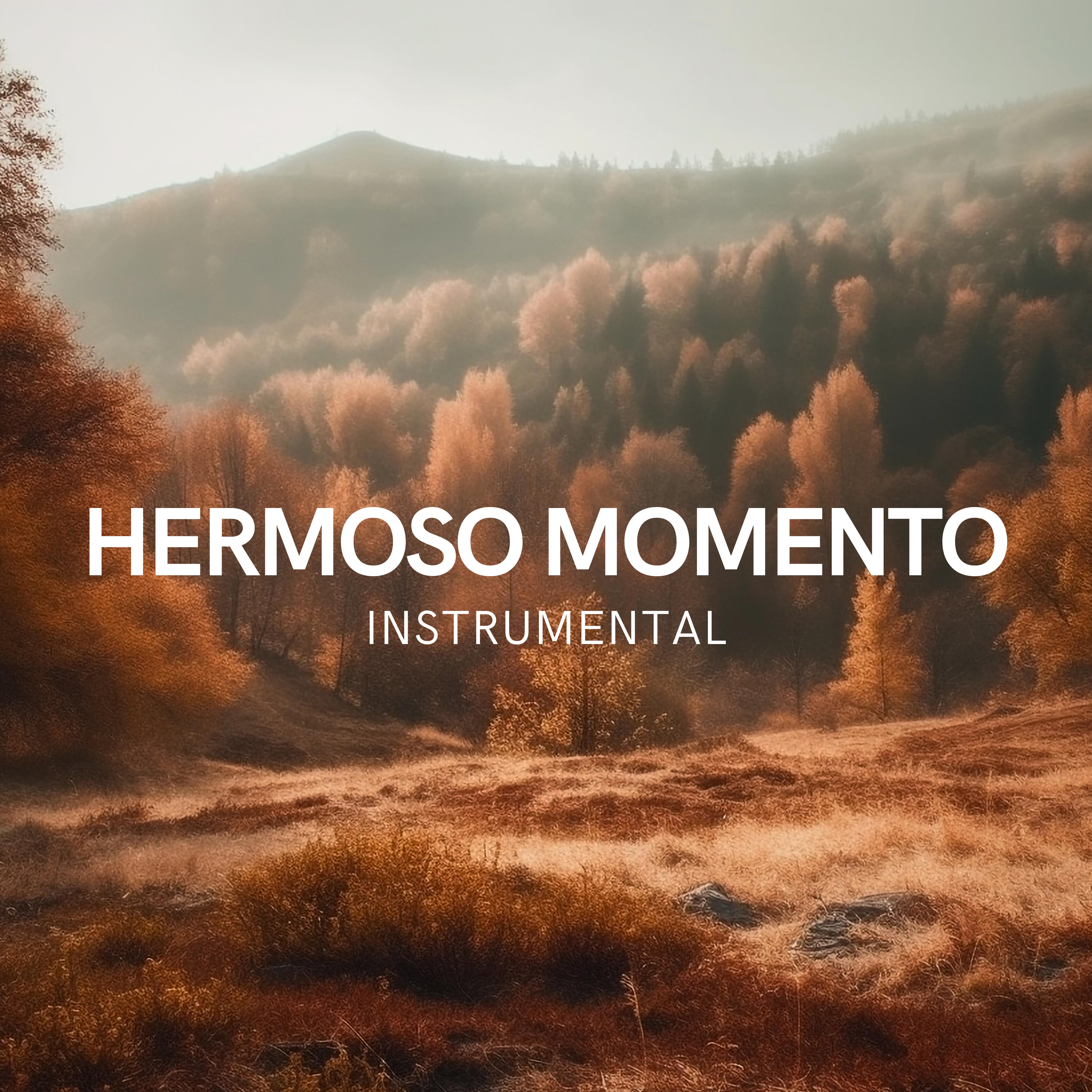 Постер альбома Hermoso Momento