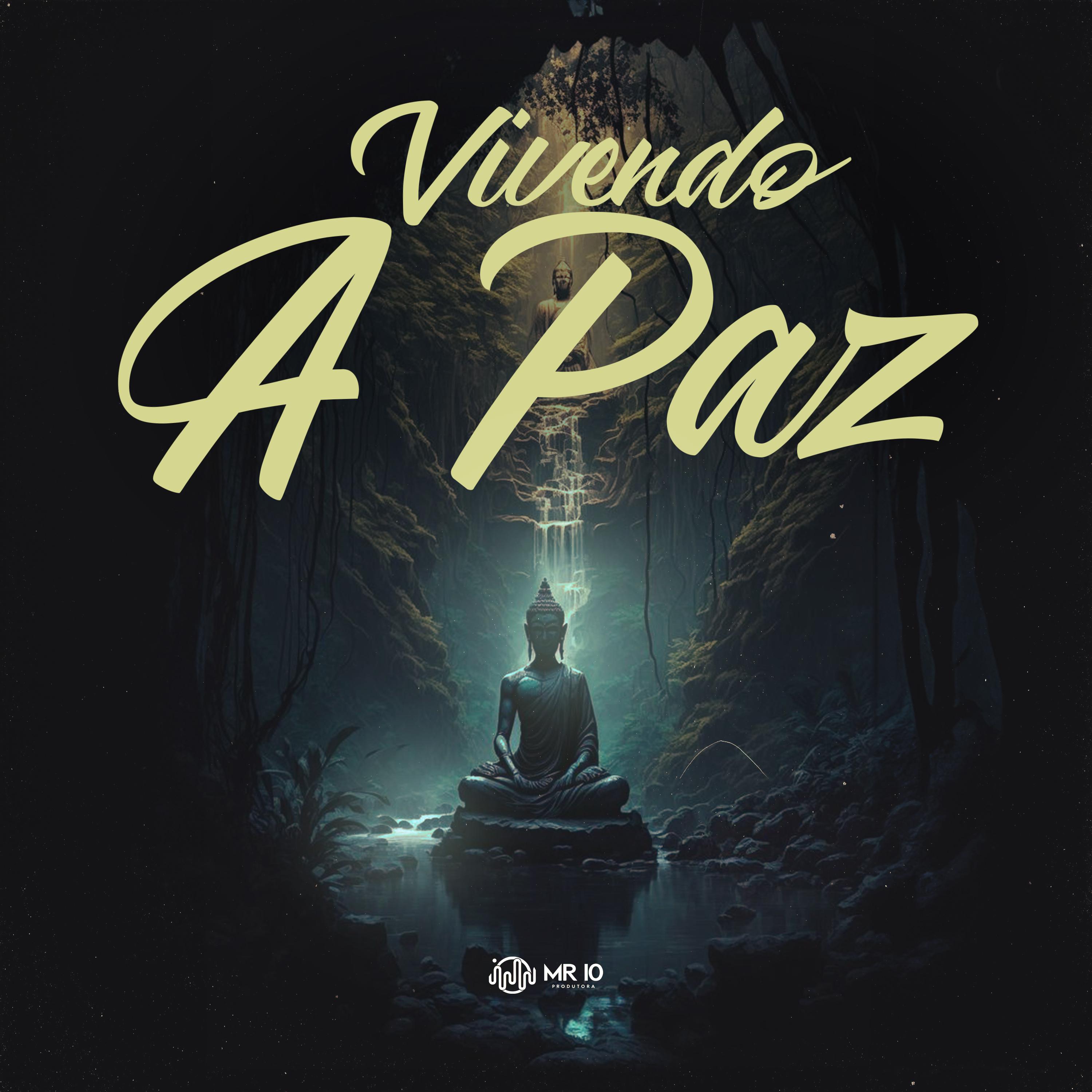 Постер альбома Vivendo a Paz