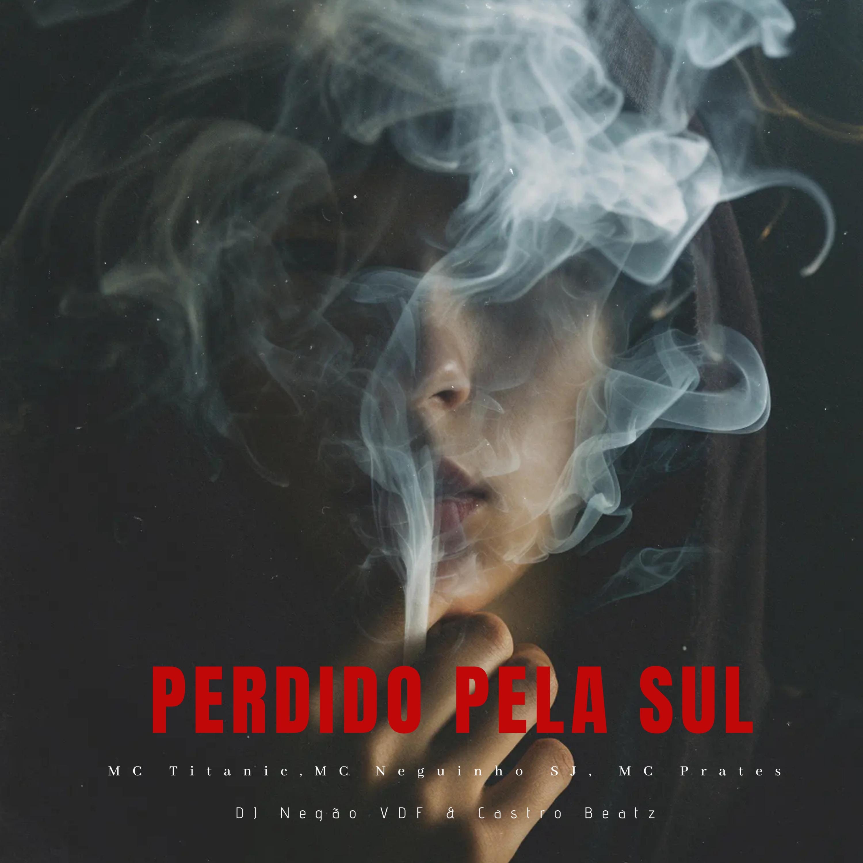 Постер альбома Perdido pela Sul