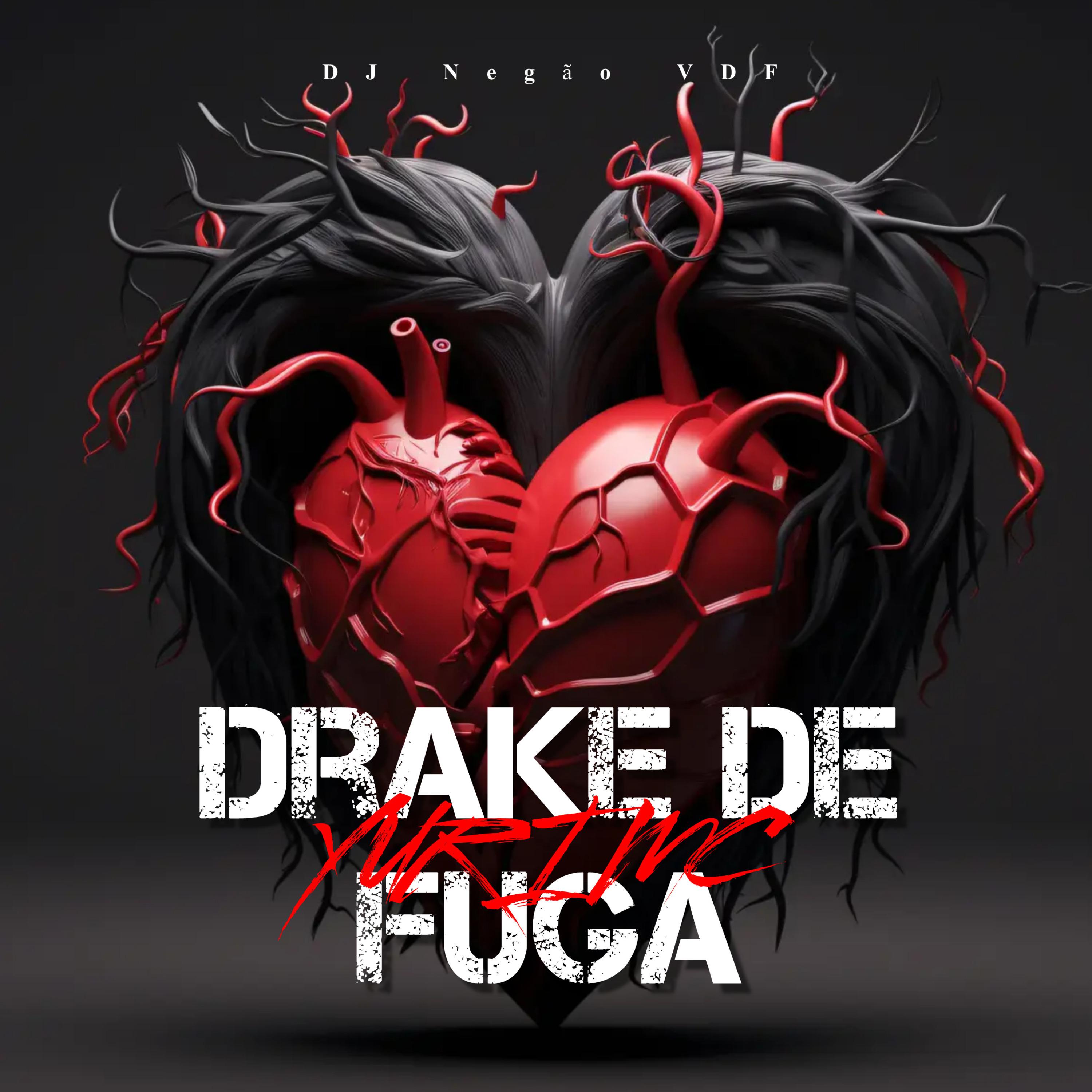 Постер альбома Drake de Fuga