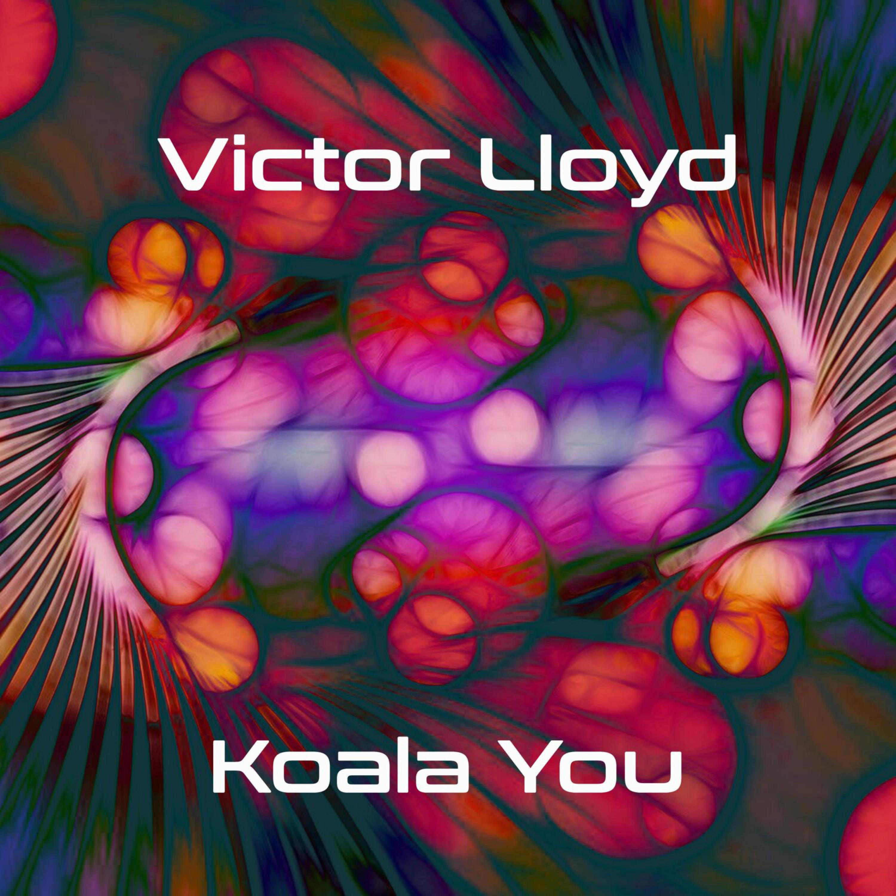Постер альбома Koala You