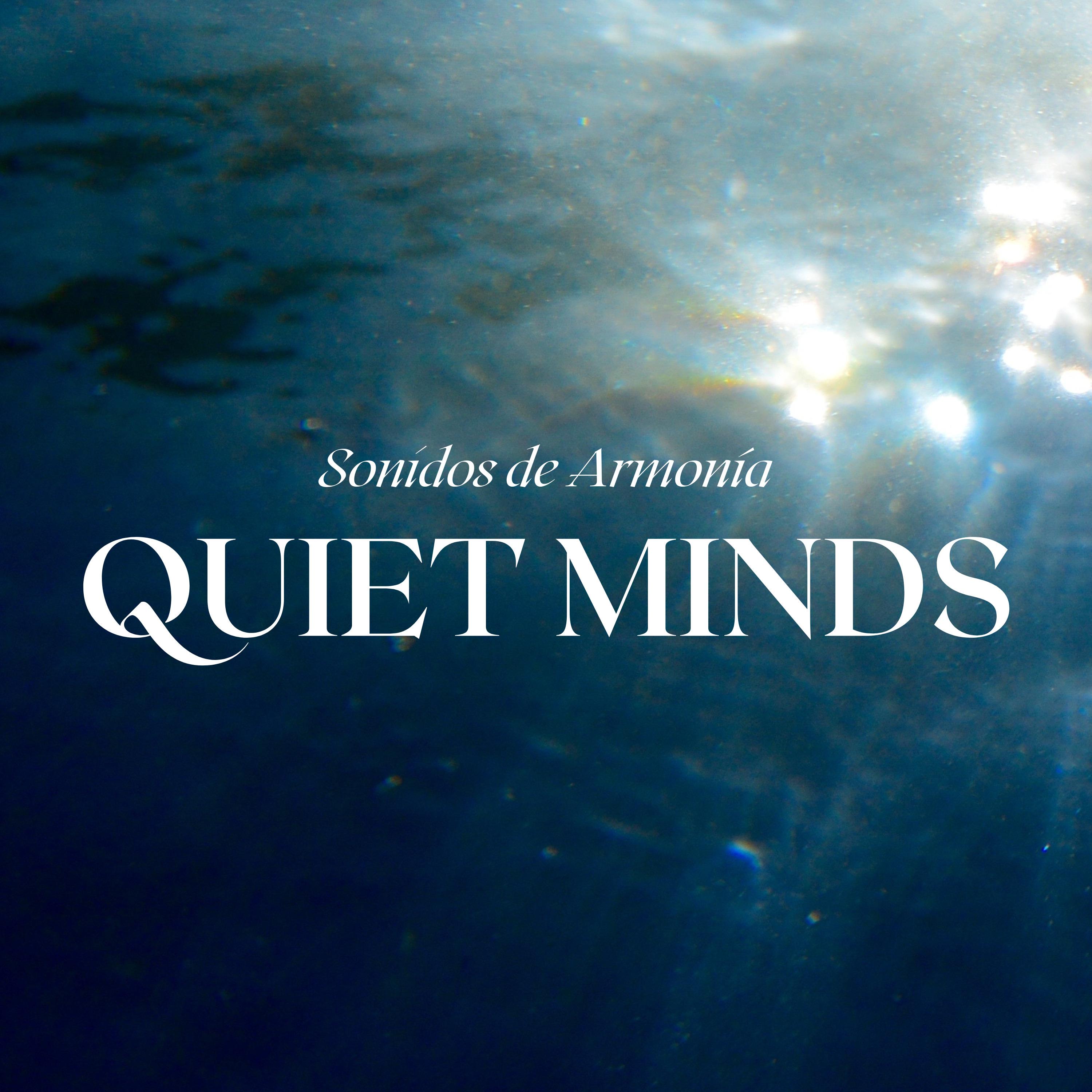Постер альбома Quiet Minds