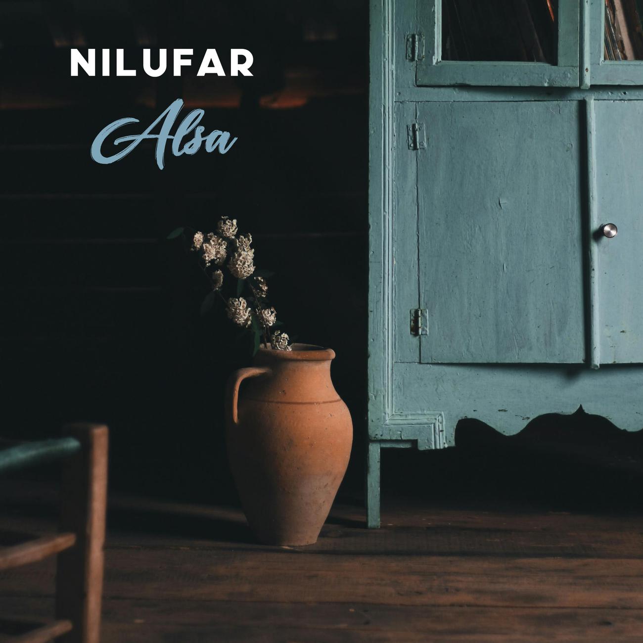 Постер альбома Nilufar