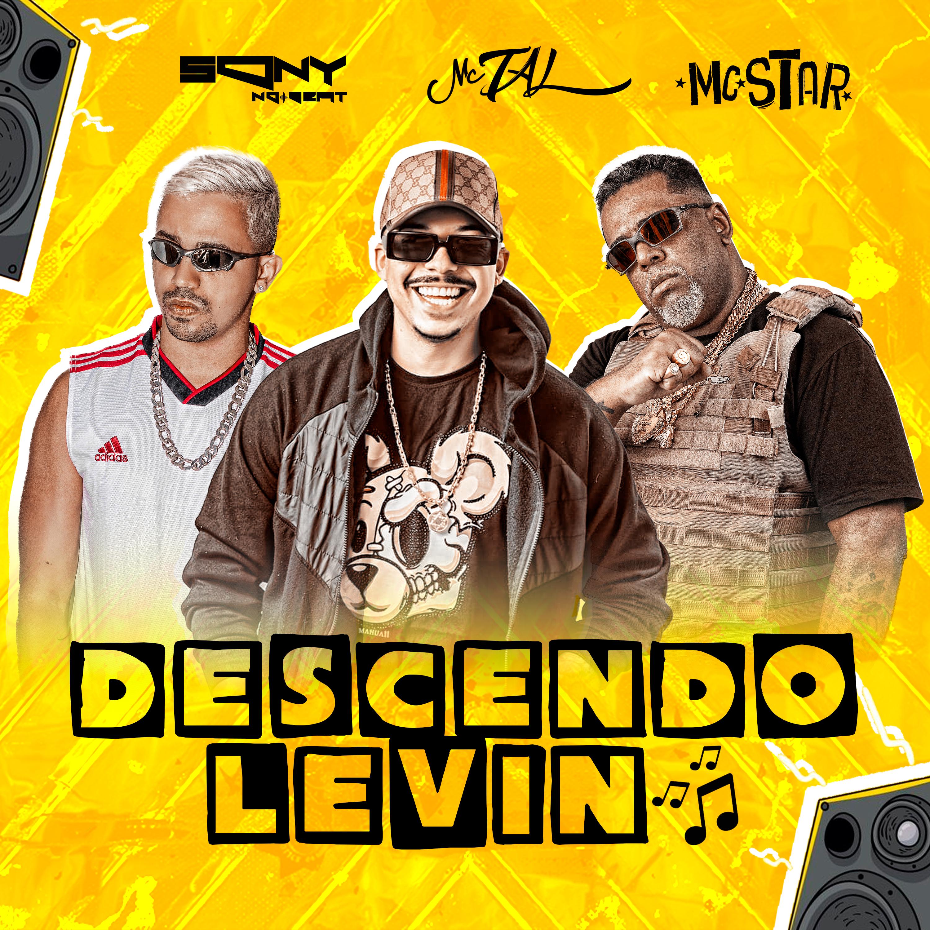 Постер альбома Descendo Levin