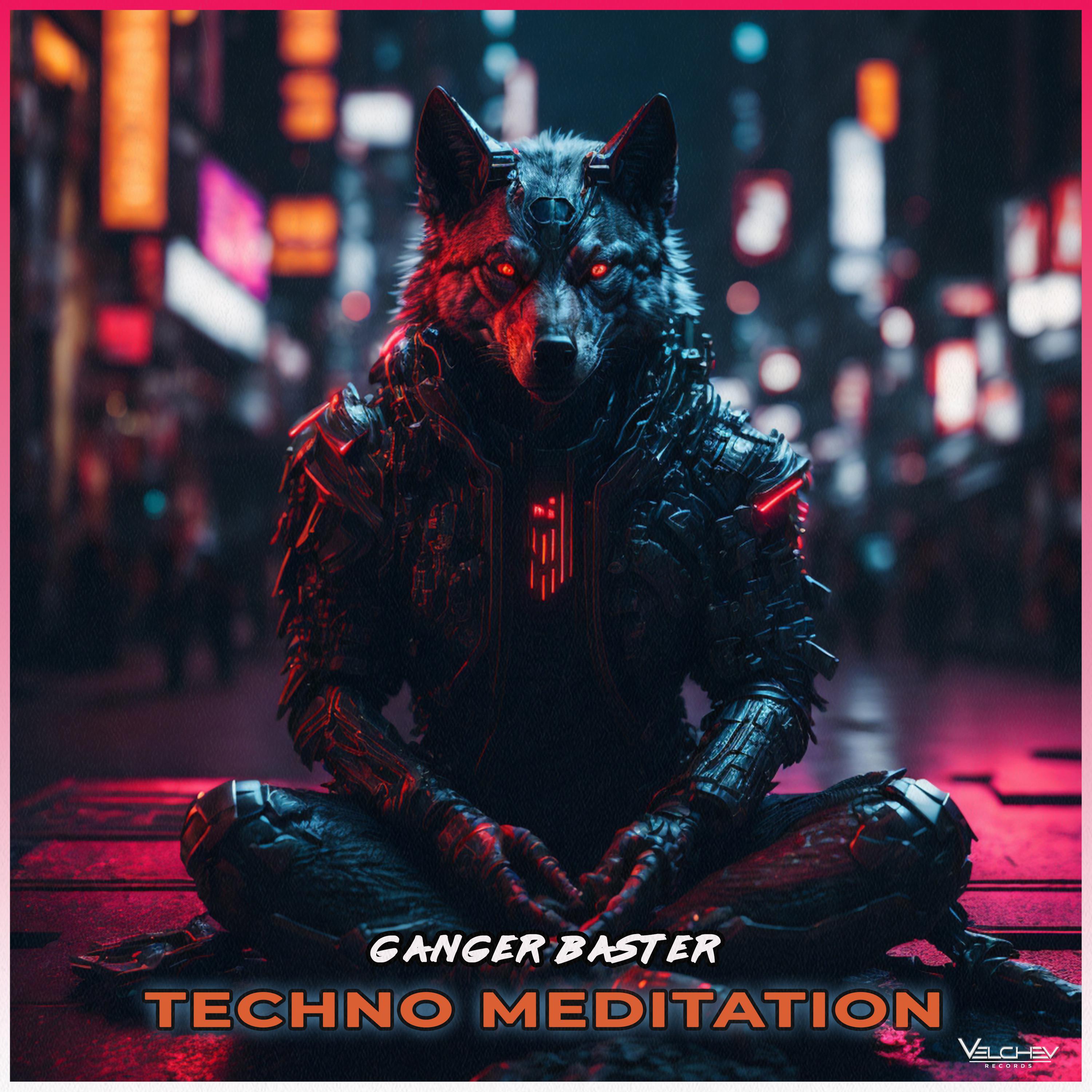 Постер альбома Techno Meditation