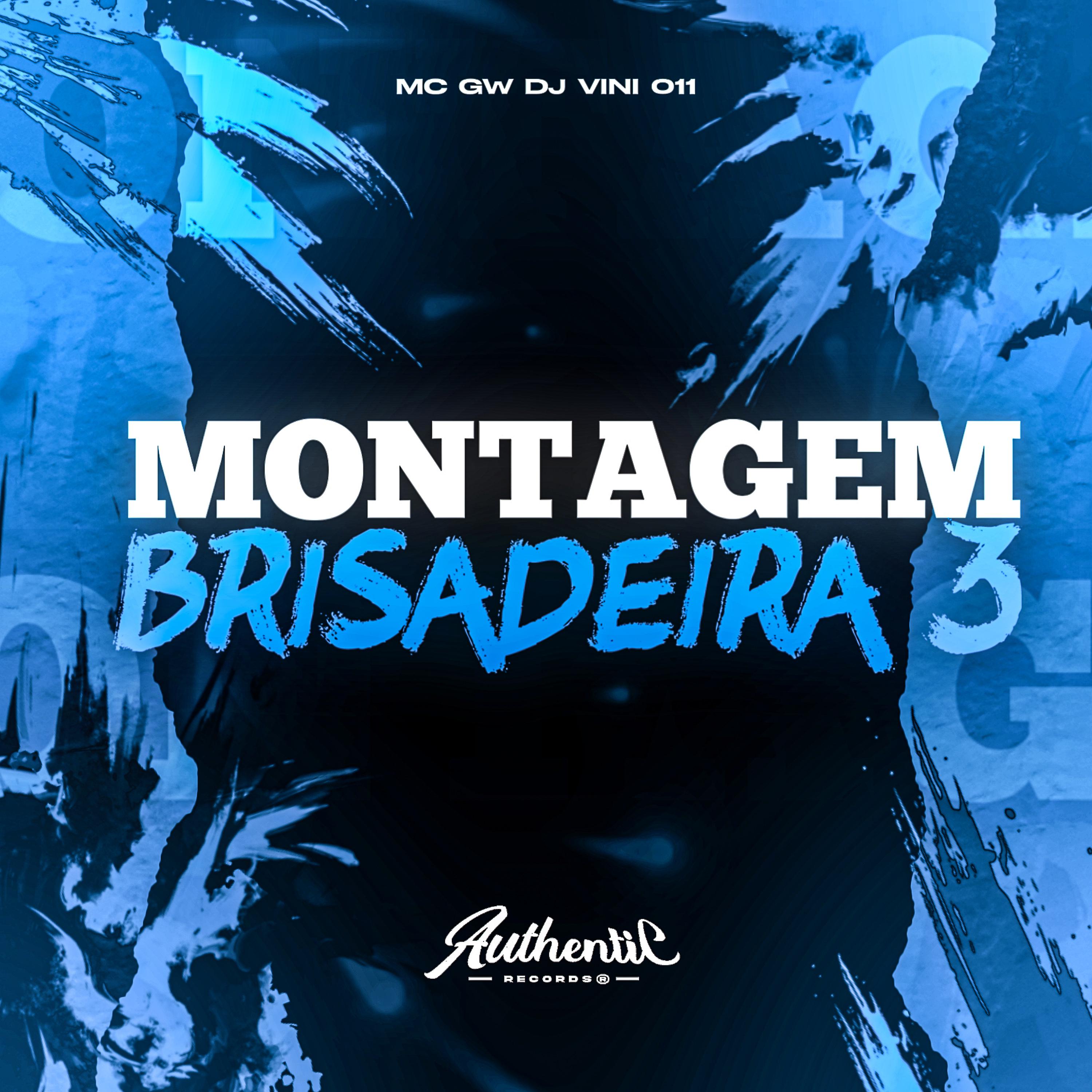 Постер альбома Montagem Brisadeira 3