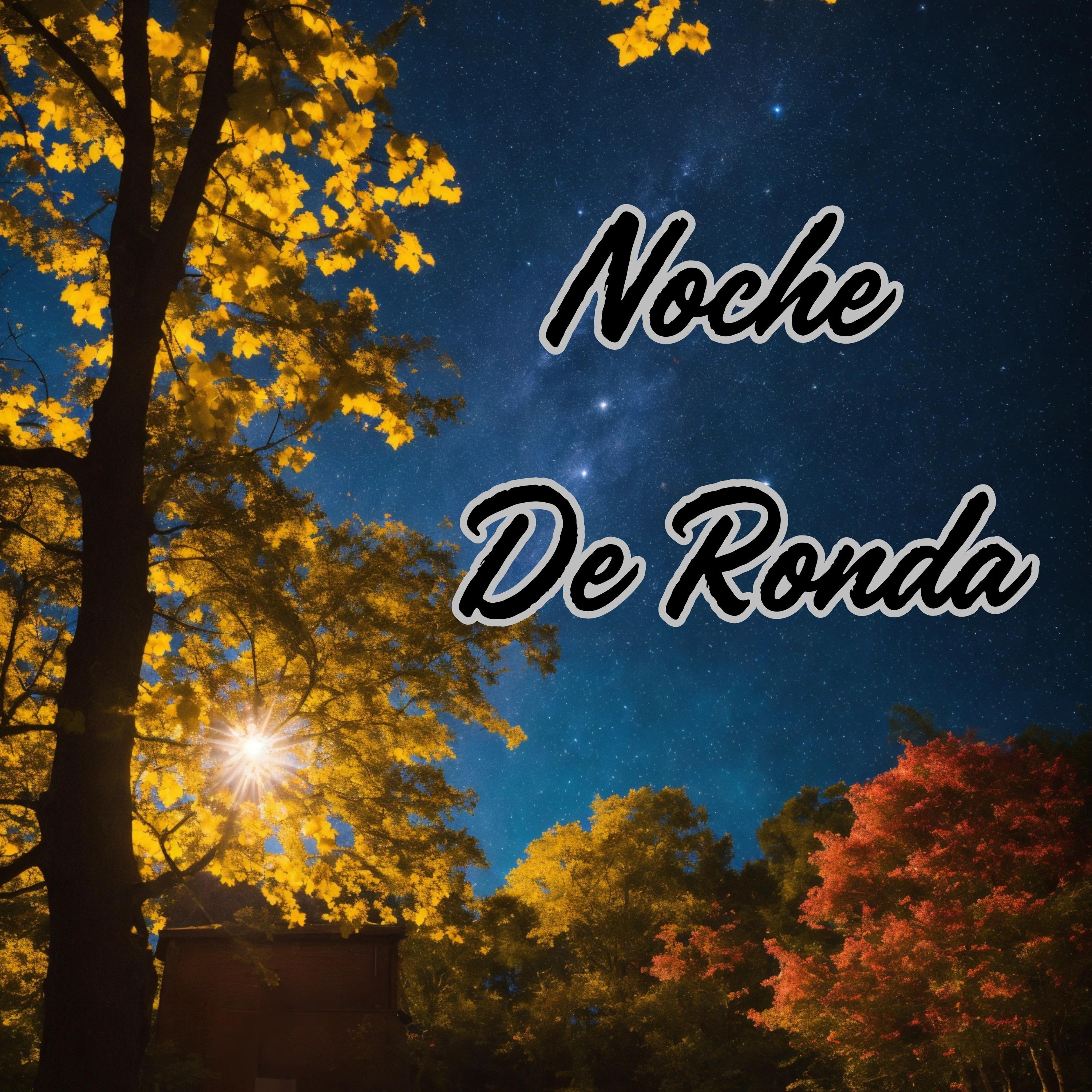 Постер альбома Noche de Ronda