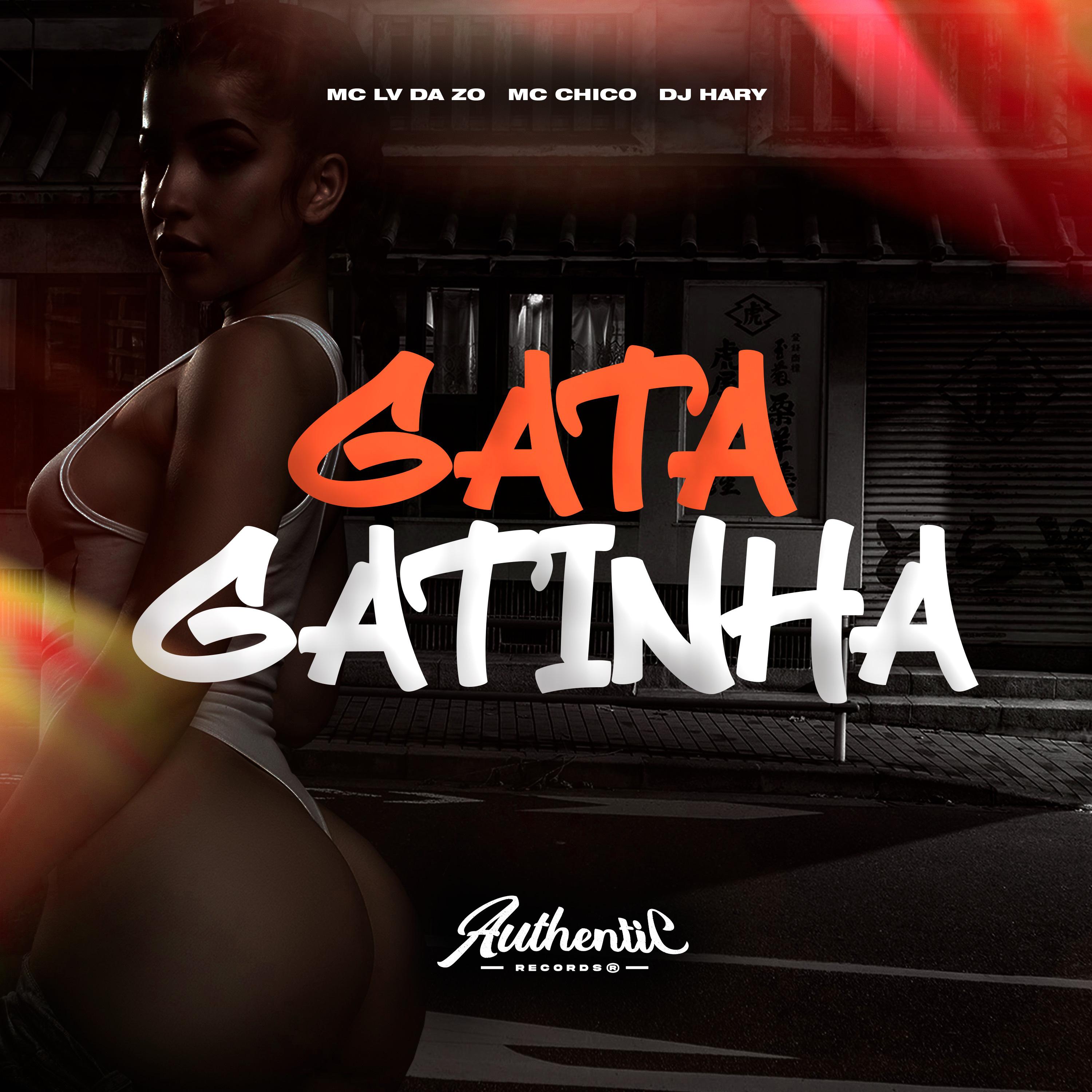 Постер альбома Gata Gatinha