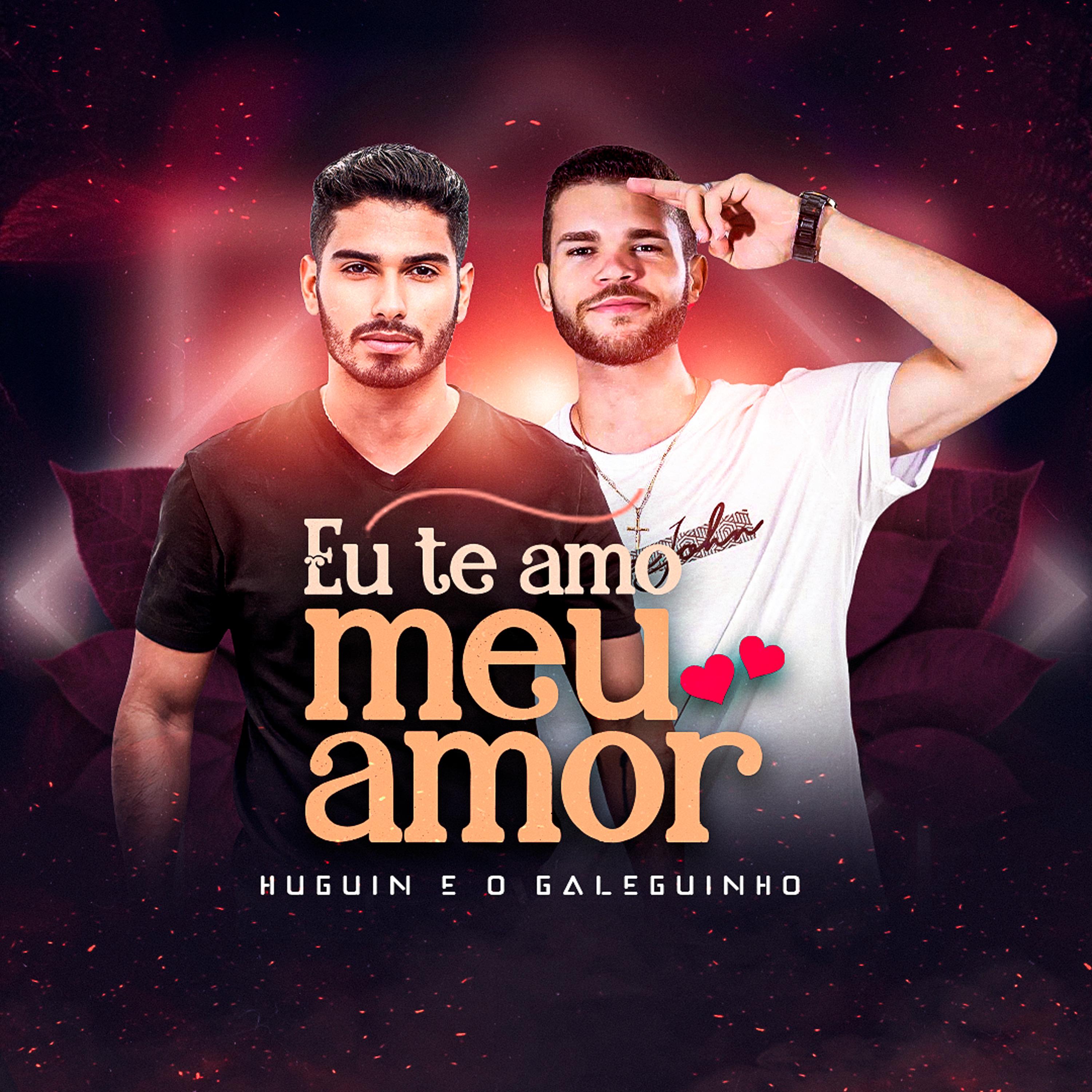 Постер альбома Eu Te Amo Meu Amor