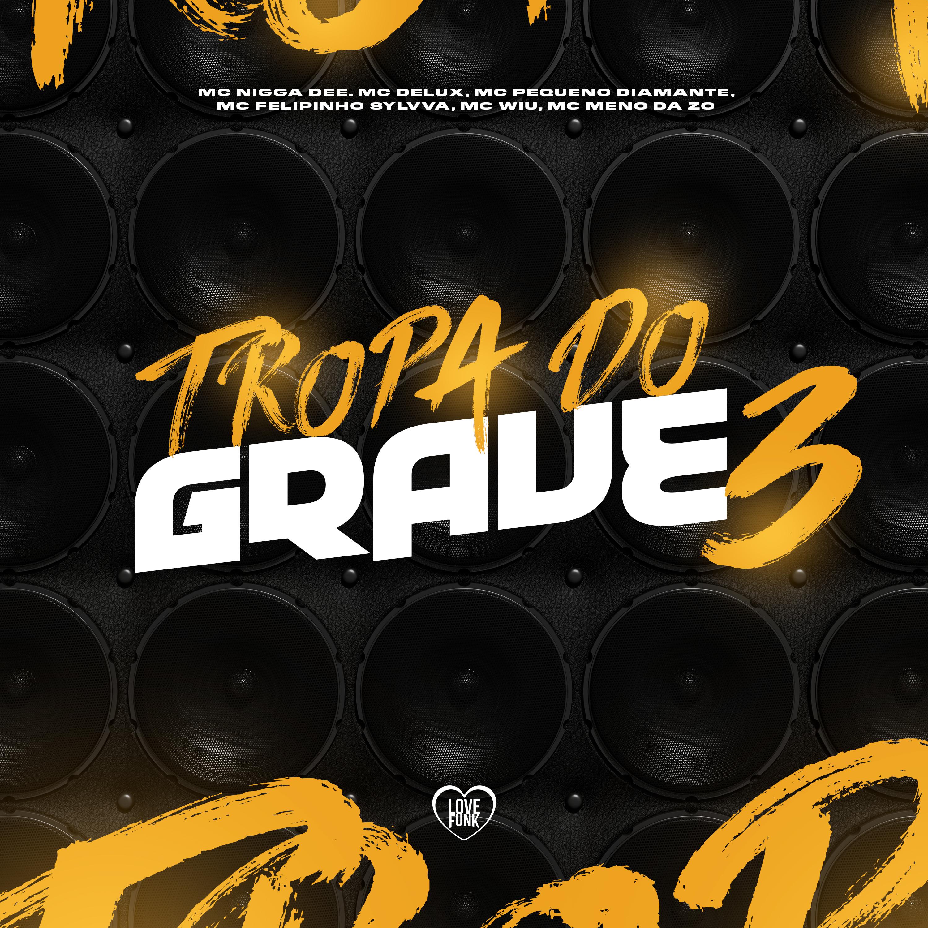Постер альбома Tropa do Grave 3