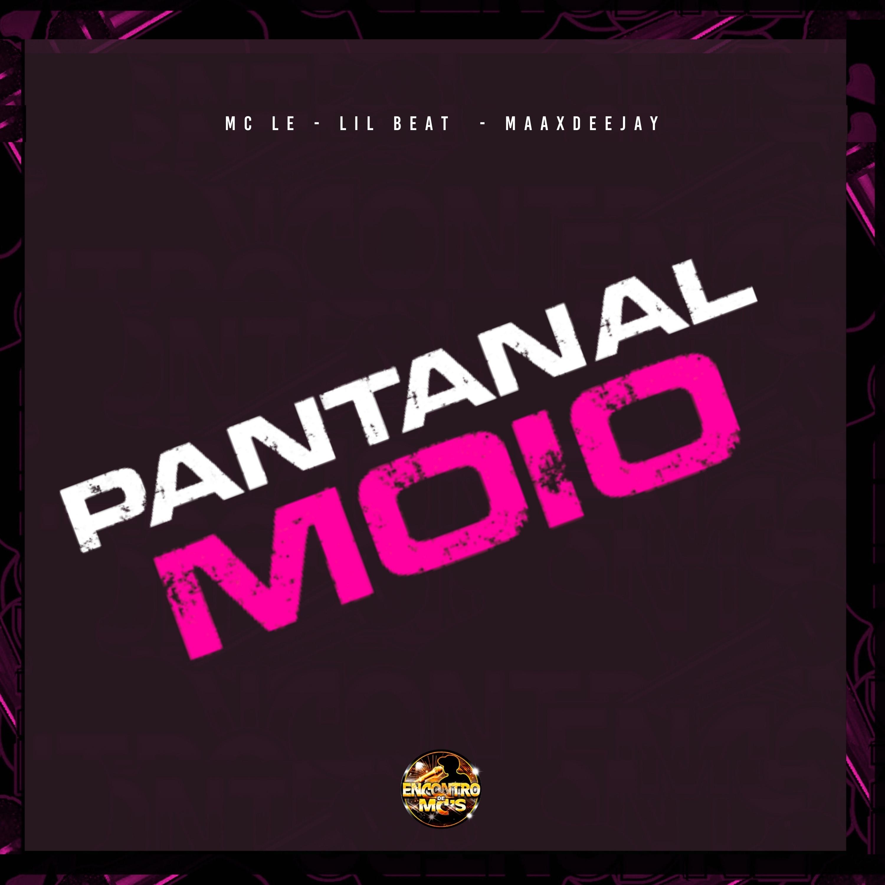 Постер альбома Pantanal Moiou