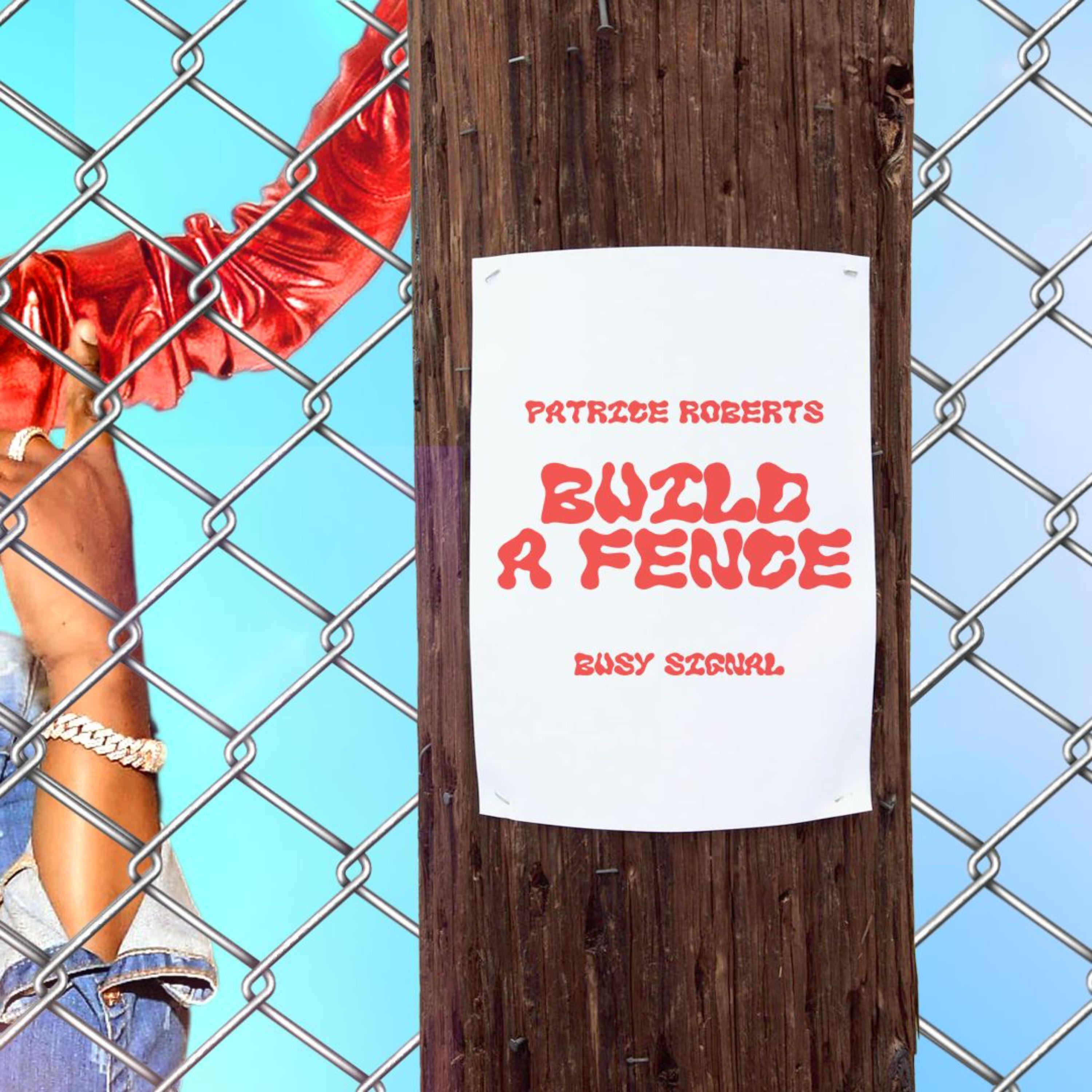 Постер альбома Build Ah Fence