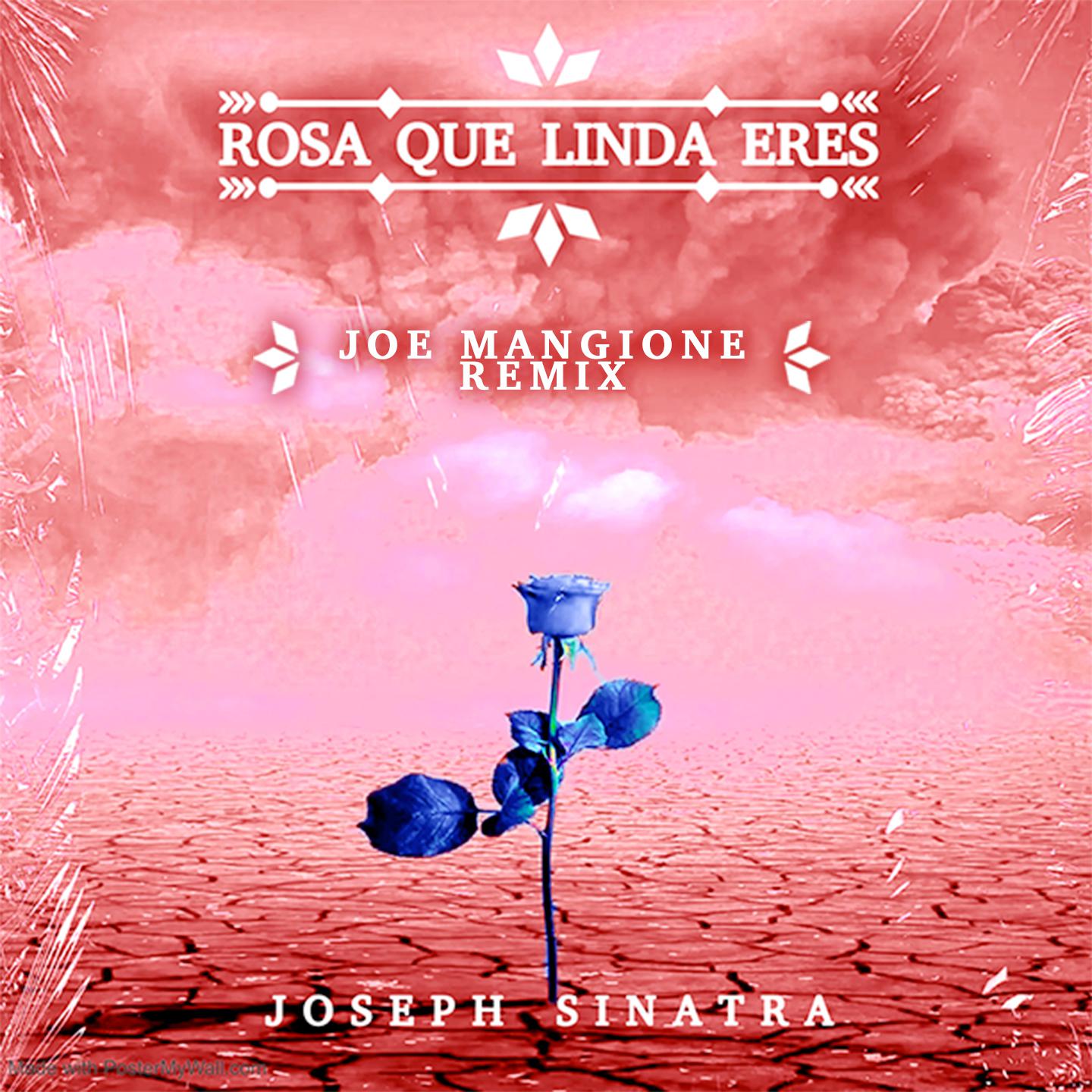 Постер альбома Rosa Que Linda Eres
