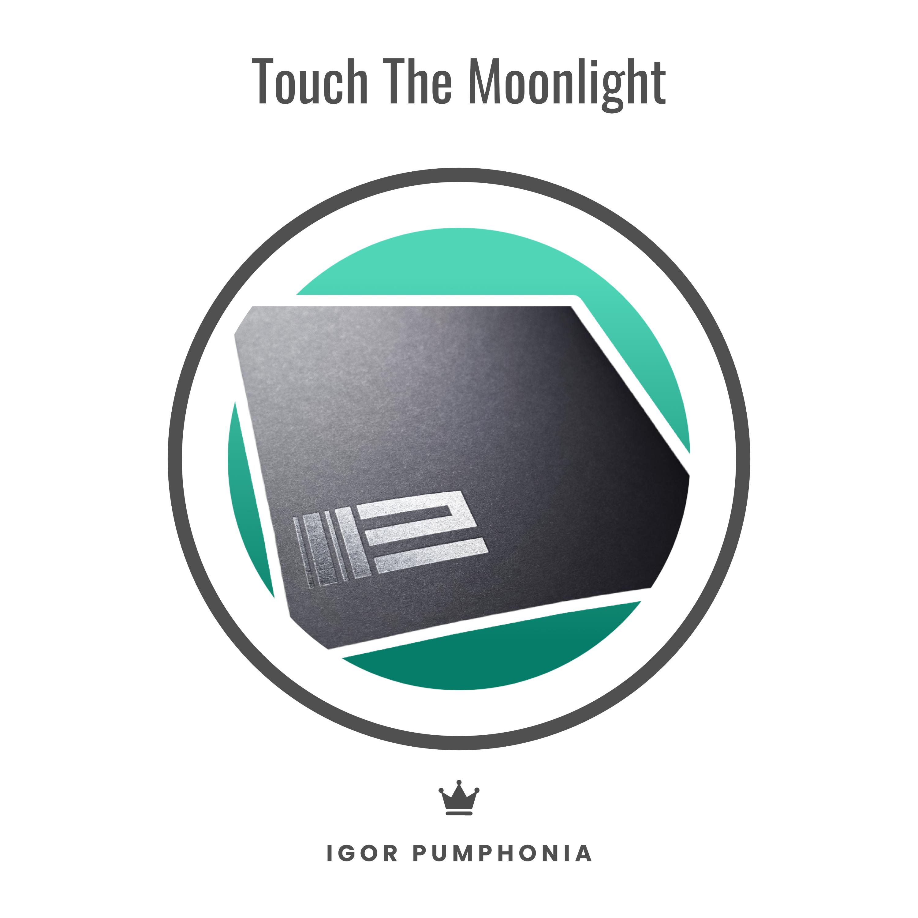 Постер альбома Touch The Moonlight
