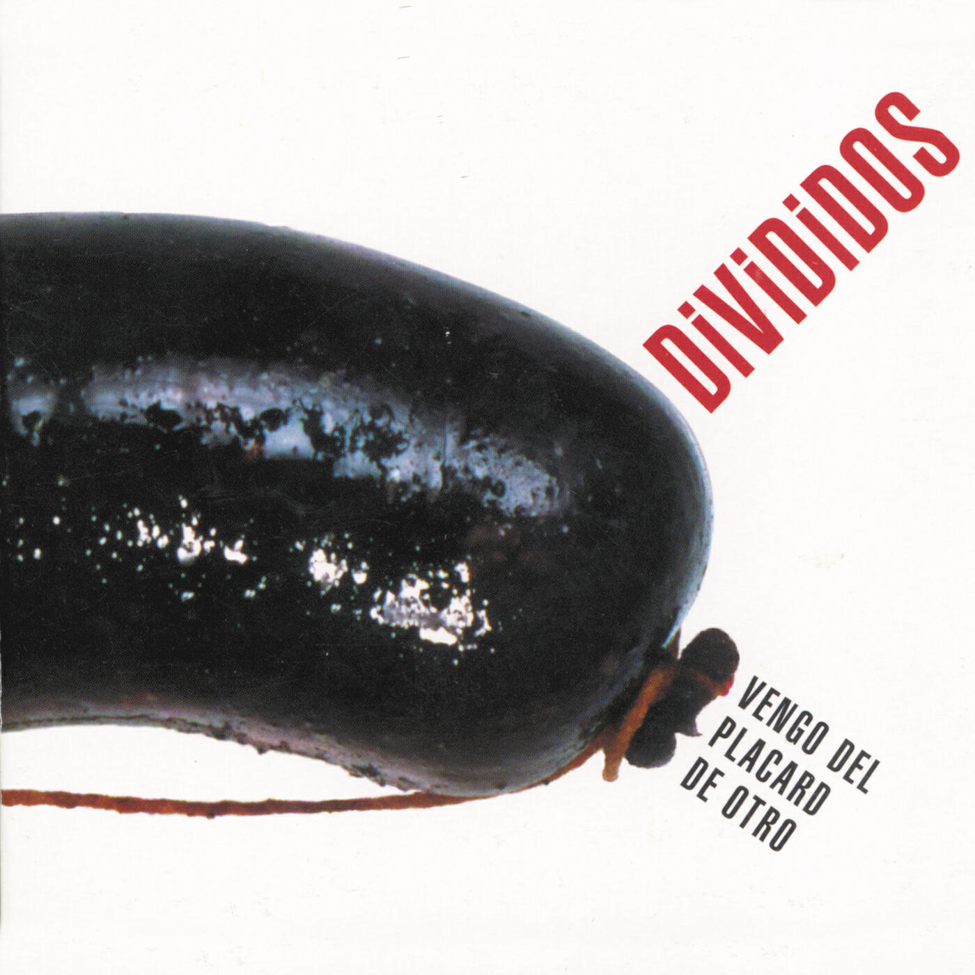 Divididos - Libre el Jabalí
