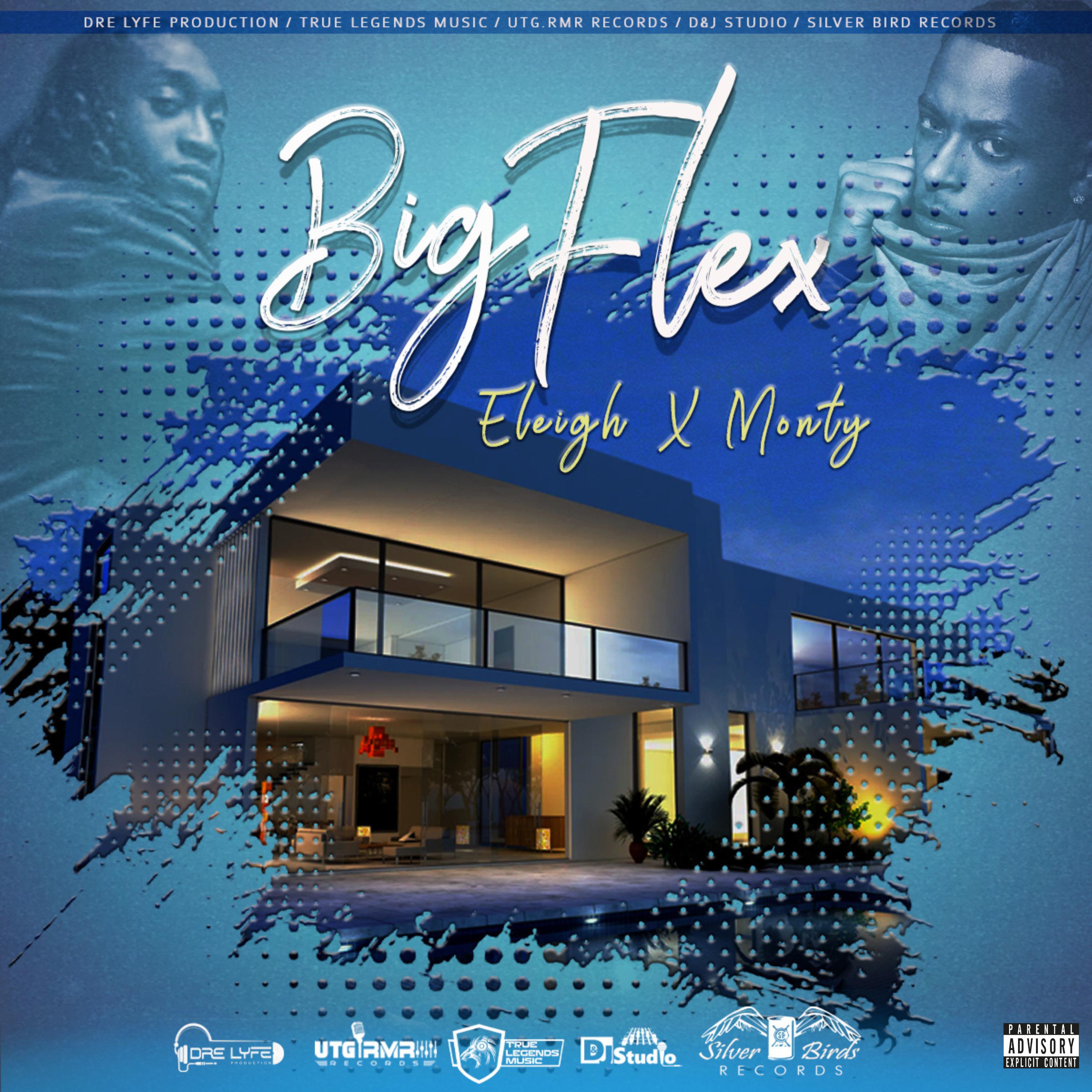 Постер альбома Big Flex