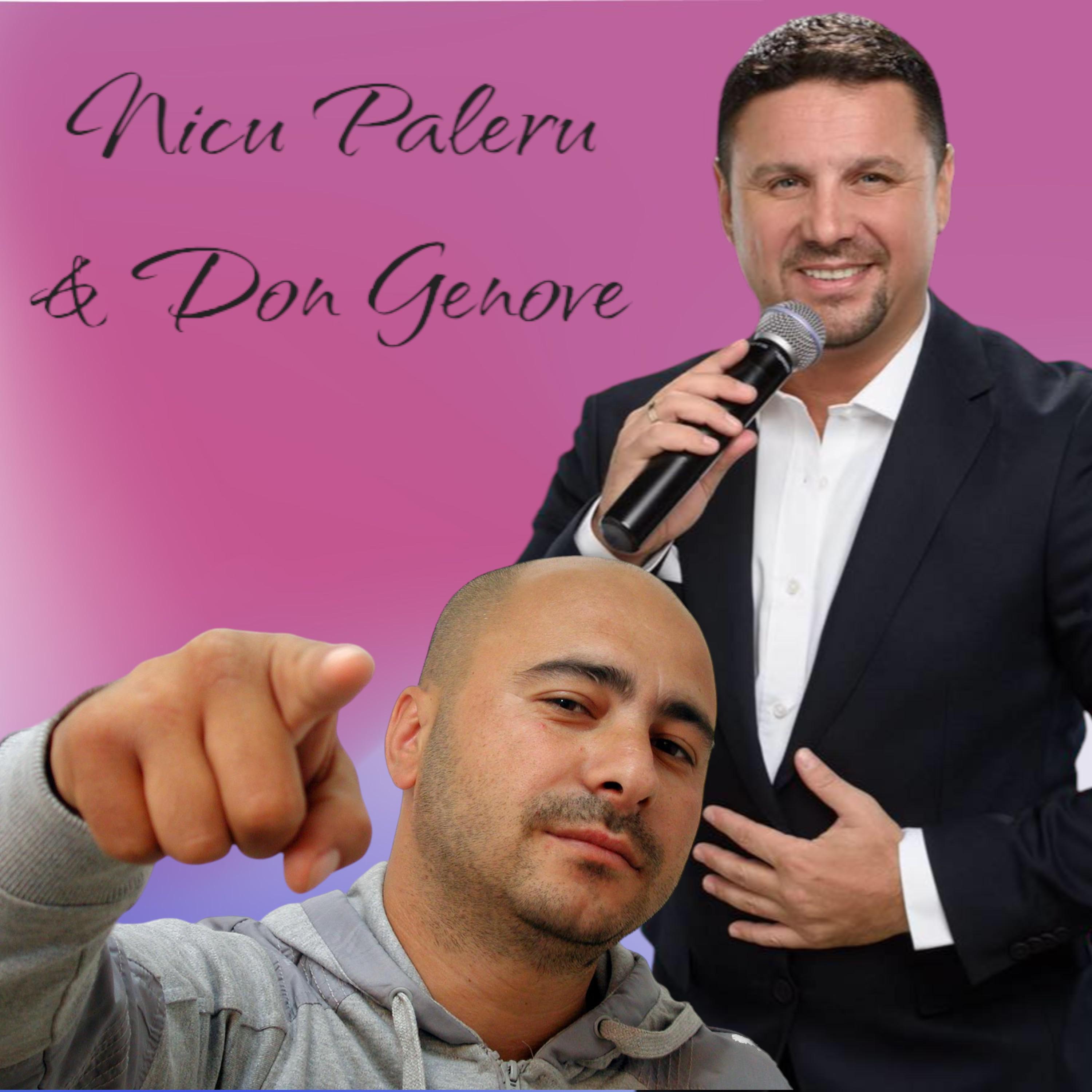 Постер альбома NICU PALERU & DON GENOVE