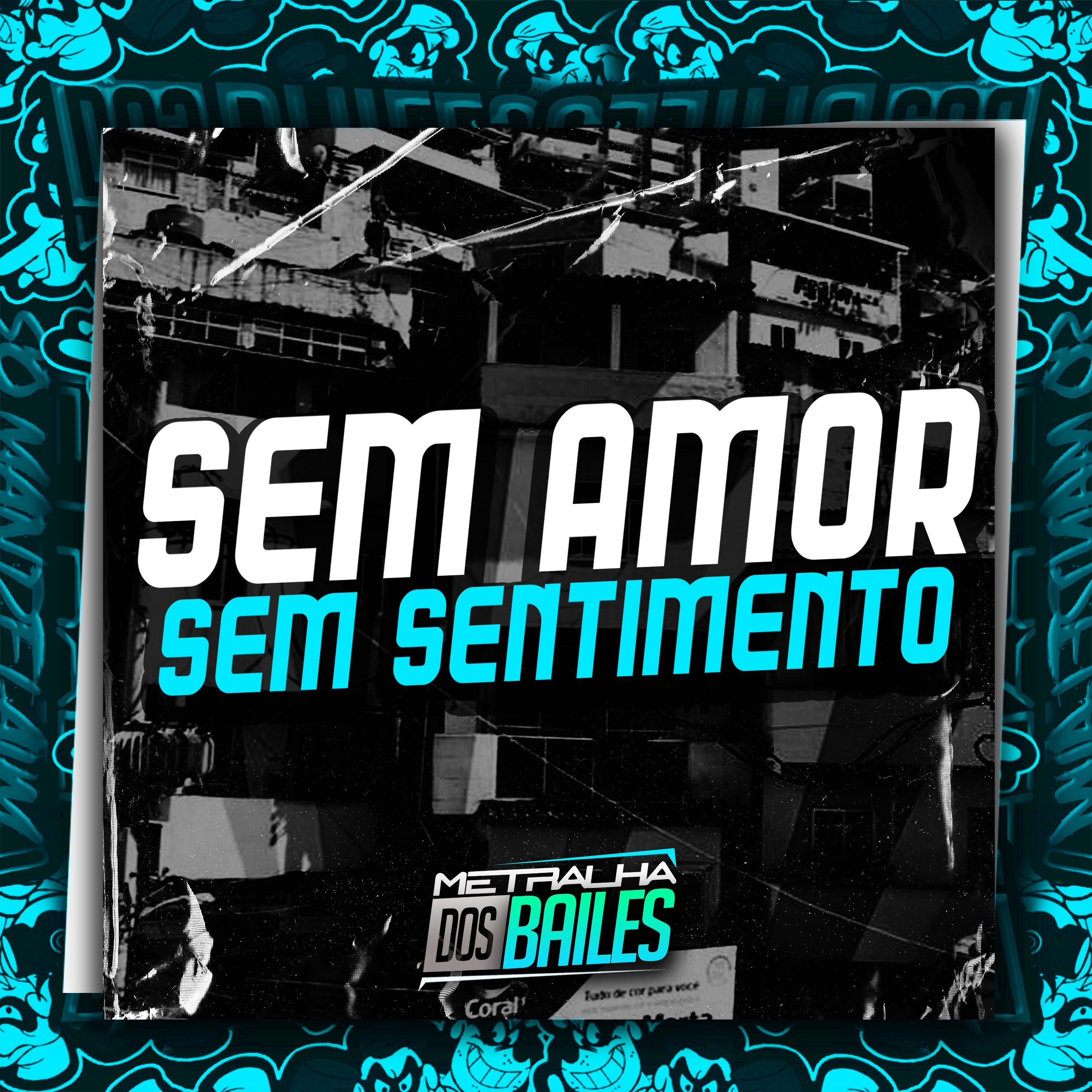 Постер альбома Sem Amor Sem Sentimento